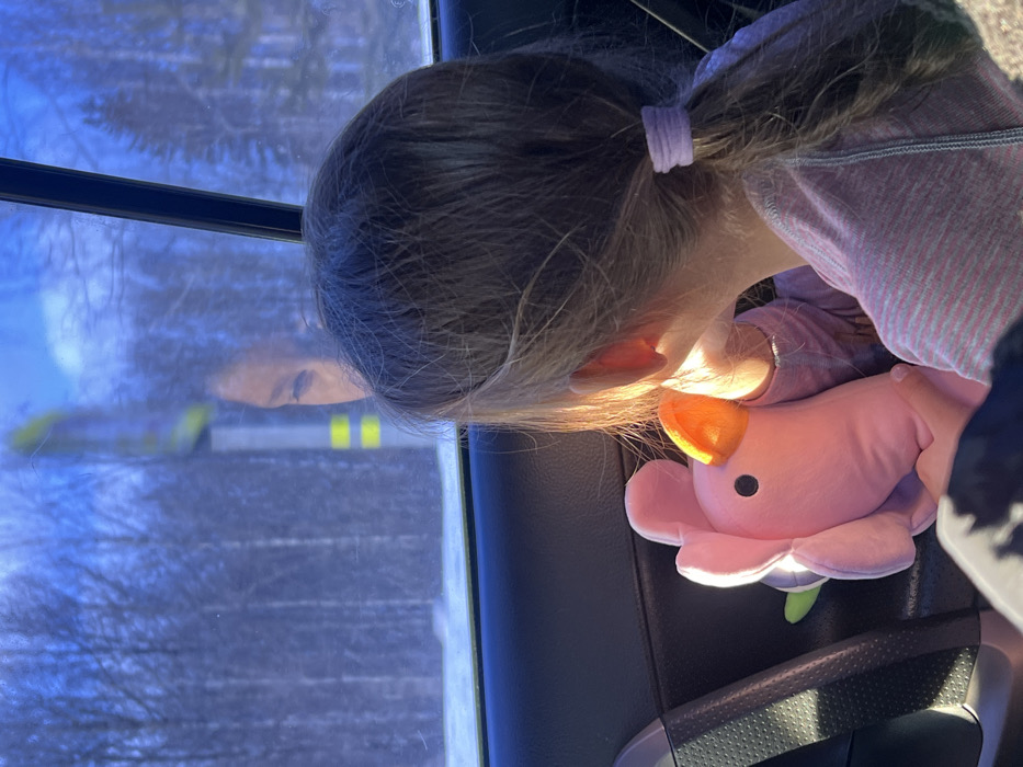 A child with light brown hair pulled back in a ponytail sits next to a car window. The child is wearing a pink shirt and holding a pink flower-shaped stuffed animal. A reflection of an adult's face is visible in the window, along with bare trees and a vehicle with yellow accents. The car's interior includes the window frame, door panel, and part of the seat. The light is bright, particularly on the child's ear.