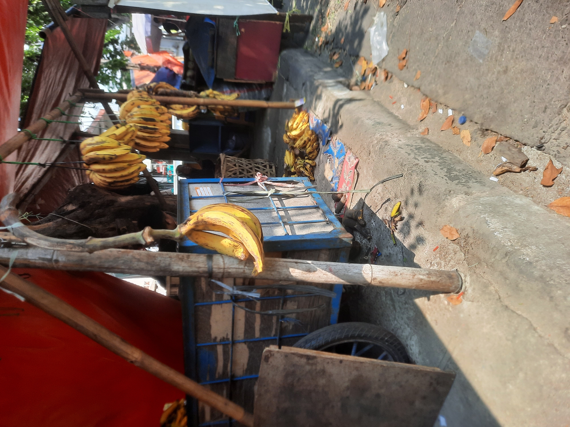 A street scene in North Jakarta, Indonesia, depicts a roadside stall selling bananas. In the foreground, a cluster of yellow bananas hangs from a wooden pole, tied with green string. To the left, a wooden board leans against a blue cart with a black tire visible. In the background, more bunches of bananas are hanging from a wooden frame covered with a reddish-orange tarp, suggesting a covered stall area. Further back, other stalls or structures are visible, including what appears to be a blue container and a dark object covered with fabric. The ground is paved, with fallen leaves scattered around. The scene is illuminated by sunlight, casting shadows.