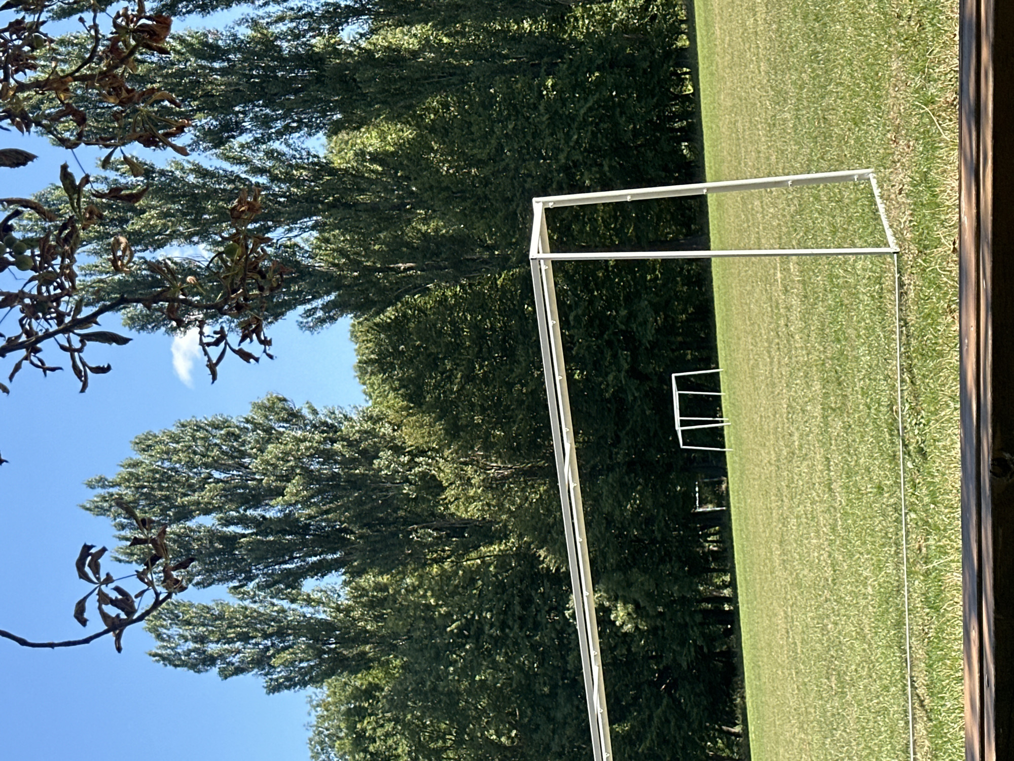 The image depicts an outdoor scene on a grassy field with a clear blue sky. In the foreground, a portion of a wooden structure is visible, suggesting a bench or table. A white soccer goal frame stands prominently in the mid-ground, with another smaller white soccer goal visible in the distance. The field is covered in neatly mown green grass, and a line of trees forms a dense green backdrop. The trees are tall and appear to be a mix of deciduous and coniferous types. Overhead, branches with brown, dried leaves hang into the frame from the top of the image, adding a touch of autumnal or late summer scenery. The location is identified as Makiv, Ukraine. The scene appears to be a park or sports field.