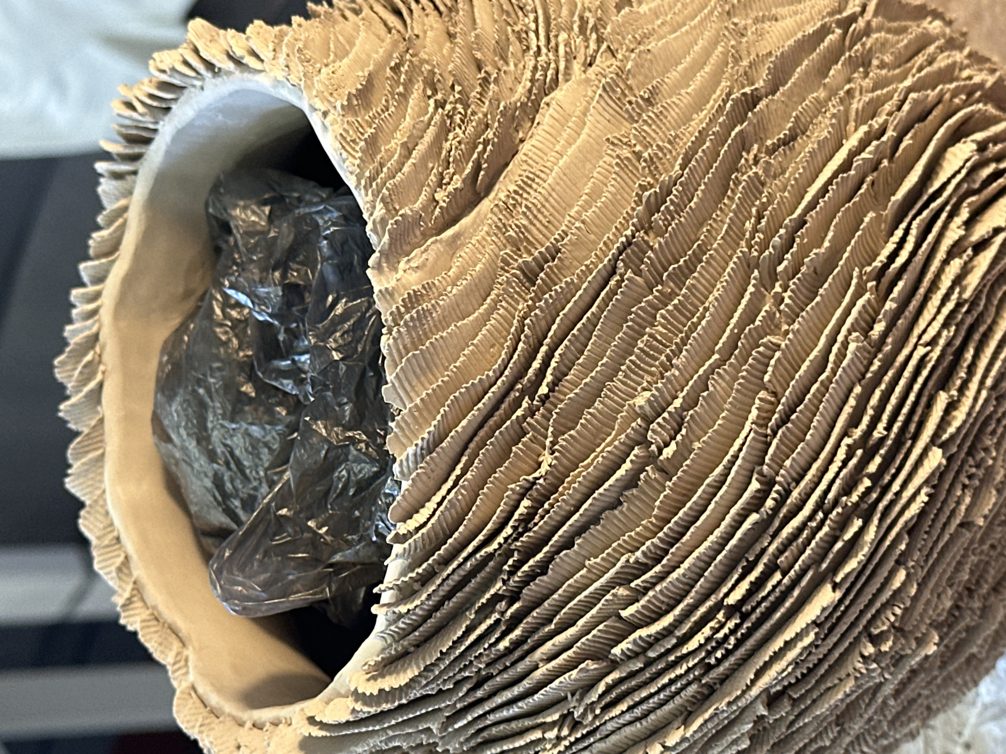 This is a close-up, eye-level, outdoor shot of the textured interior of a light-colored, roughly finished ceramic vessel. The vessel's rim is decorated with a series of small, pointed projections. Inside the vessel, a crumpled black plastic bag is visible. The background is blurred and dark, suggesting it is out of focus. There are no people or specific landmarks of Nevinnomyssk, Russia, visible in the image.