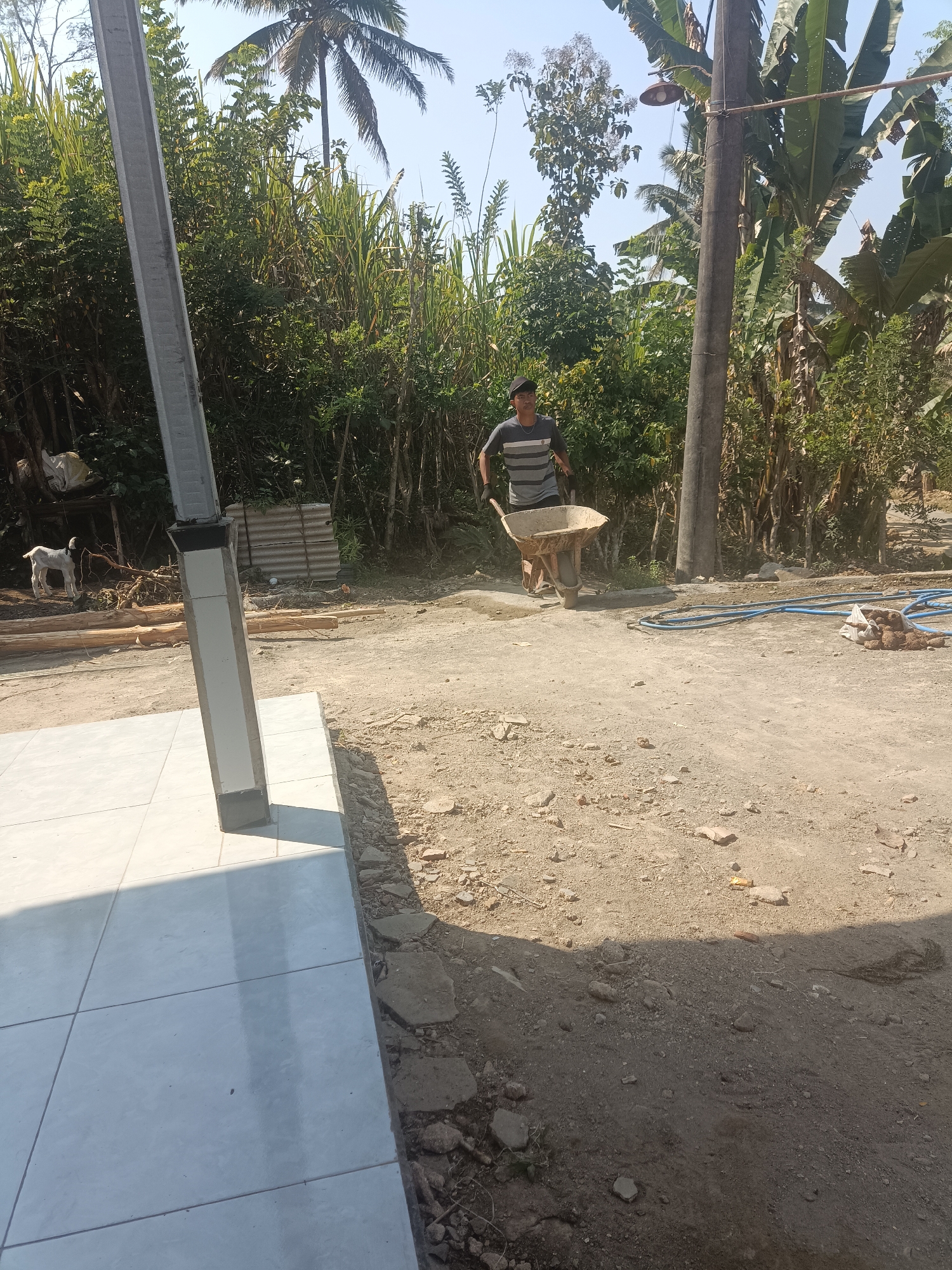 A young man, wearing a striped t-shirt and dark pants, is pushing a wheelbarrow filled with sand. He is in a dusty, unpaved area, likely a construction site, with lush vegetation and palm trees in the background. To the left, a white goat stands near some wooden logs. A light-colored tiled surface is visible in the foreground. The scene appears to be outdoors during the day.