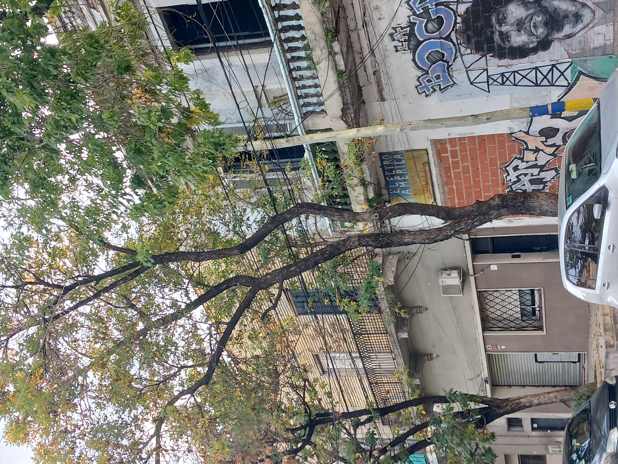 The image shows a street scene in Buenos Aires, Argentina. The foreground is dominated by a large tree with extensive branching, partially obscuring the buildings behind. The buildings are a mix of architectural styles, some with balconies and ornate metalwork, others with plainer facades. Graffiti adorns at least one building. Utility lines crisscross the sky. A silver car is parked on the street, partially visible on the right. A dark-colored car is also visible, near the bottom of the frame. The overall impression is one of a dense, urban environment with a mix of old and new elements.
