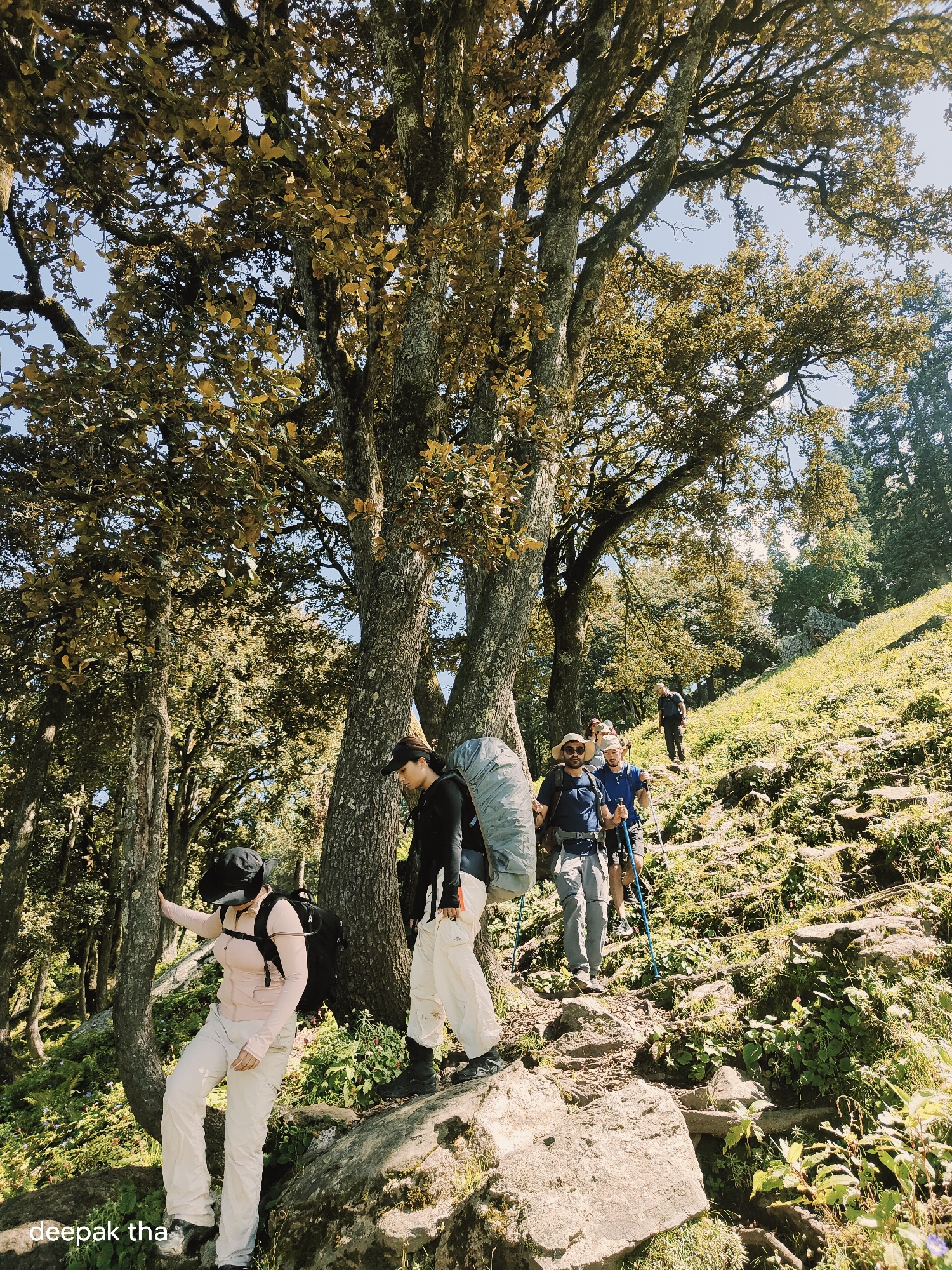 A group of hikers is trekking uphill on a rocky, forested path, likely in or near Manali, India. The path is uneven, with large rocks and dense vegetation, including trees with golden-brown leaves, suggesting it might be autumn. The hikers, carrying backpacks and using hiking poles, are spread out along the trail. The person in the foreground on the left is a woman wearing a light pink jacket, a black cap, and light-colored pants. To her right, another person, partially visible, wears a black jacket and light-colored pants. Further up the path, several other individuals are walking, some with visible backpacks. The sun shines through the trees, creating dappled light on the path and the surrounding greenery. The overall impression is one of an active outdoor adventure in a natural, mountainous environment.