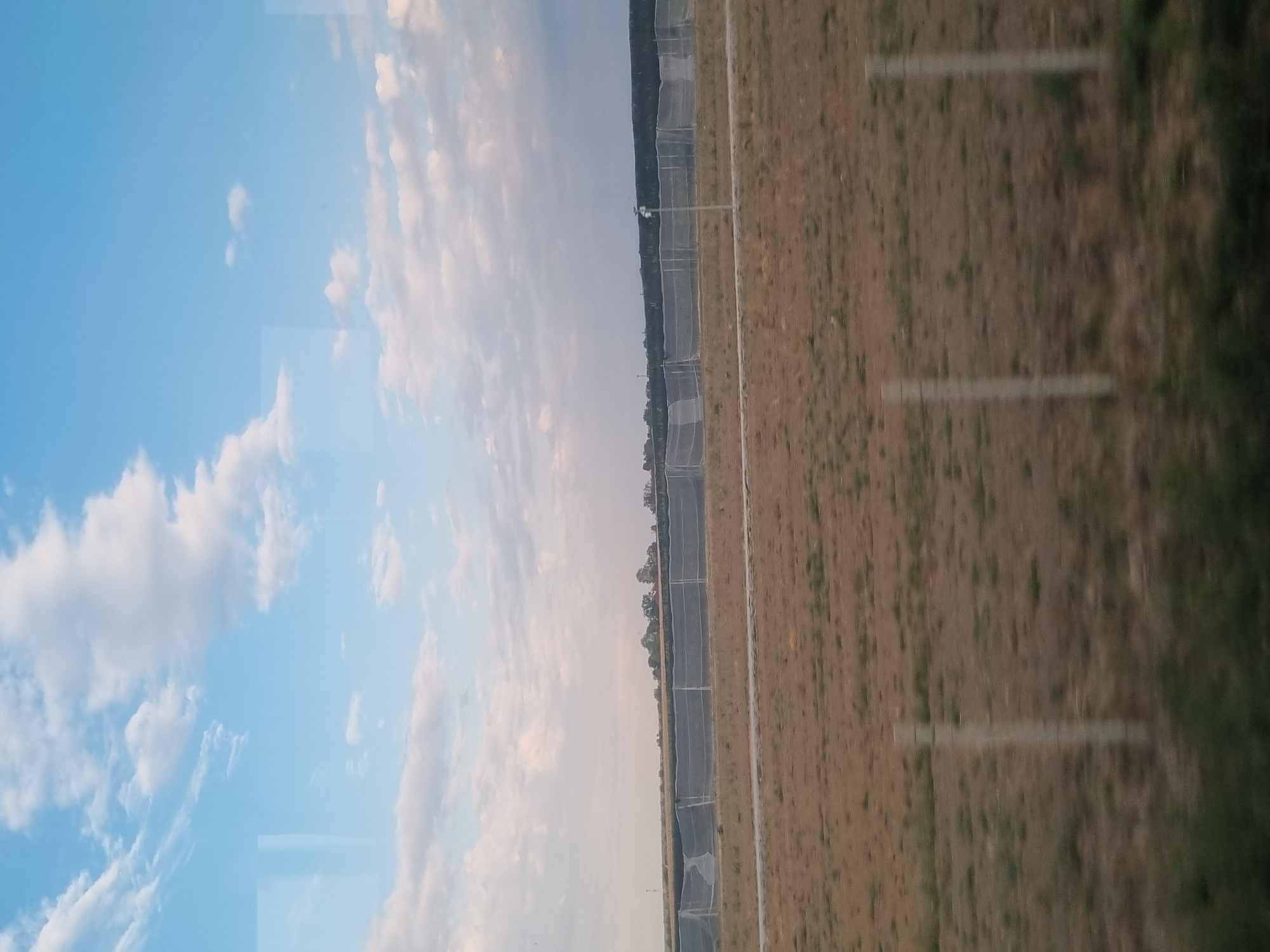 The image depicts a rural landscape under a partly cloudy sky. The foreground features dry, brown grass with several vertical fence posts. A road runs horizontally across the middle ground. Behind the road, a large, netted structure or enclosure stretches across the horizon, possibly a greenhouse or netting for agricultural purposes. Trees line the far background. Reflections of windows are visible on the left side of the image, suggesting the photo was taken from inside a vehicle or building. The scene is situated in the city of Bicaci, Romania.