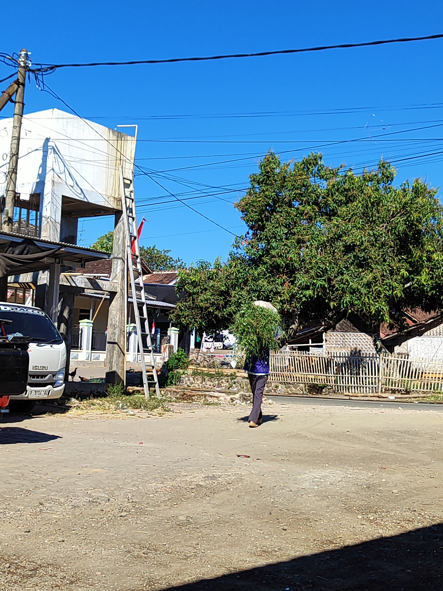 In the city of Pujerbaru, Indonesia, under a clear blue sky, a person is walking from right to left across a dusty, unpaved area. They are carrying a large bundle of green vegetation on their head. The individual is wearing a blue jacket and dark pants. To the left, a white truck is parked, with a chicken standing near its front. Behind the truck, a white structure with an open top stands, and a ladder leans against a pole next to it. A fence made of thin bamboo poles runs along the right side of the image, separating the unpaved area from a road and houses. A large tree with lush green foliage is visible behind the fence. The overall scene depicts a rural or semi-rural environment.