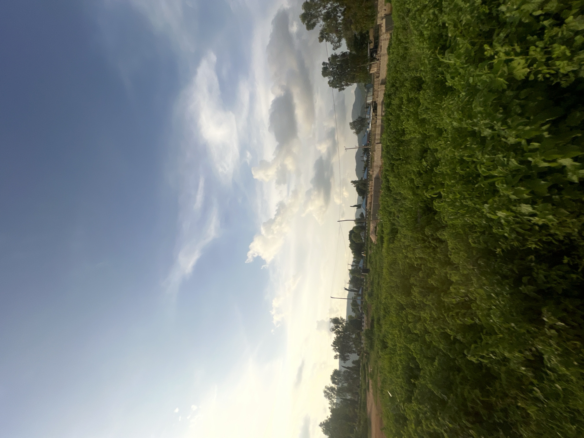 This is a vertical, low-angle shot of a lush green field on the right side of the frame, bordering a dirt road. The field is densely populated with vibrant green foliage that extends to the horizon. A faint dirt path is visible leading into the field. On the left side of the frame, a bright blue sky is filled with dramatic, wispy white clouds, suggesting a dynamic weather system. The horizon line is slightly blurred due to the angle and perhaps motion, but it reveals a distant landscape with scattered trees, hills, and some structures, including what appear to be utility poles and a low wall. The overall impression is of a rural or semi-rural setting in Howayi, Nigeria, likely in the late afternoon or early evening given the warm glow in the sky. There is no visible text in the image.