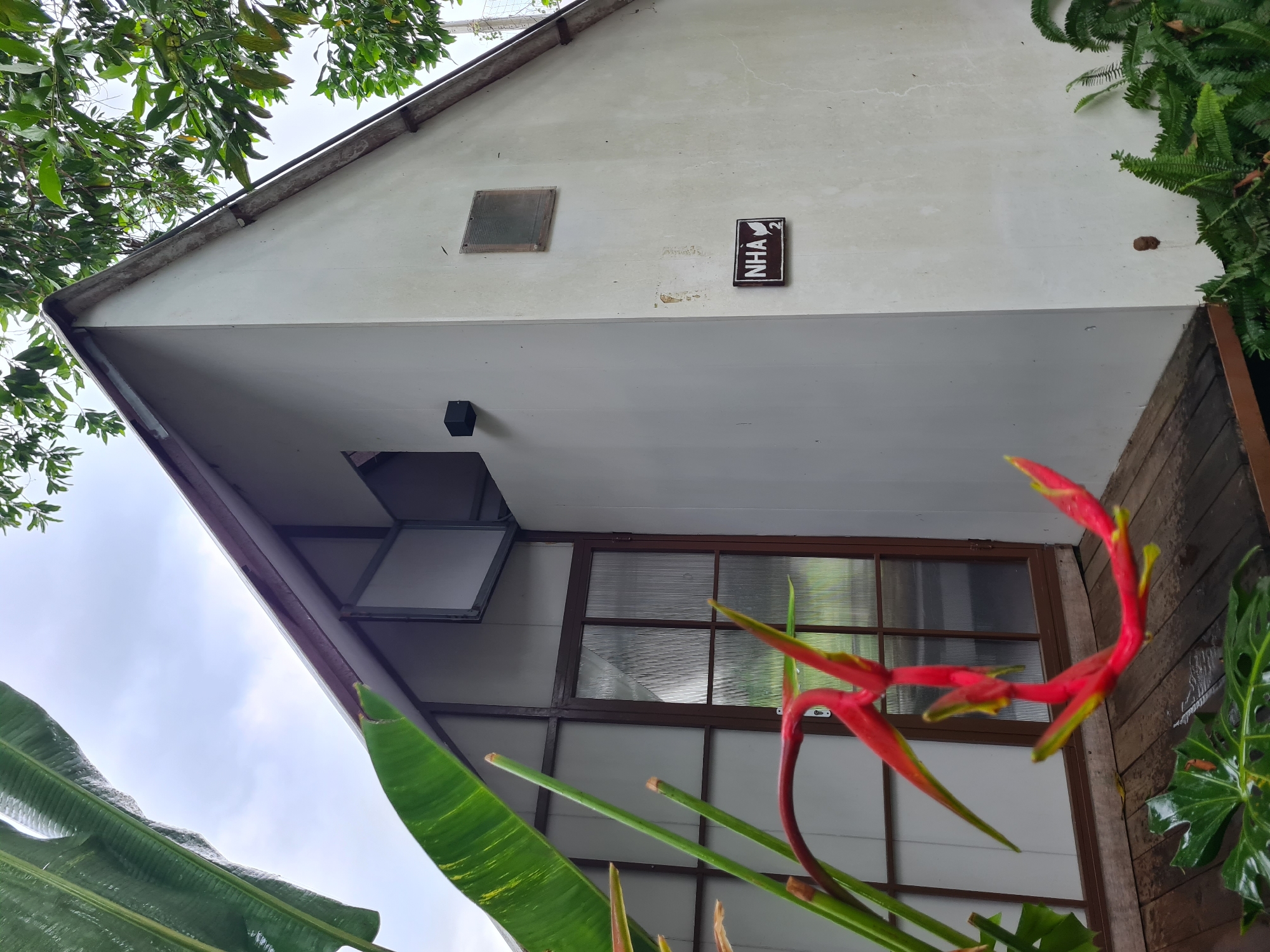 This image depicts a close-up view of a modern, minimalist white house with a triangular roof, situated in a lush green environment, likely in the city of Đà Nẵng, Vietnam. A vibrant red and yellow heliconia flower hangs prominently in the foreground, its petals unfurling dramatically. Behind the flower, the facade of the house is visible, featuring a large glass-paneled door with a dark wooden frame and a smaller, square window above it. The house has a clean, geometric design with a plain white exterior. On the right side of the house, a small rectangular sign with the text "NHA 2" and a bird silhouette is affixed to the wall. The surrounding environment includes a wooden deck in front of the house and lush green ferns and foliage at the base of the building. The sky is overcast, suggesting a cloudy day. The image appears to be taken from a low angle, emphasizing the scale of the house and the natural elements.