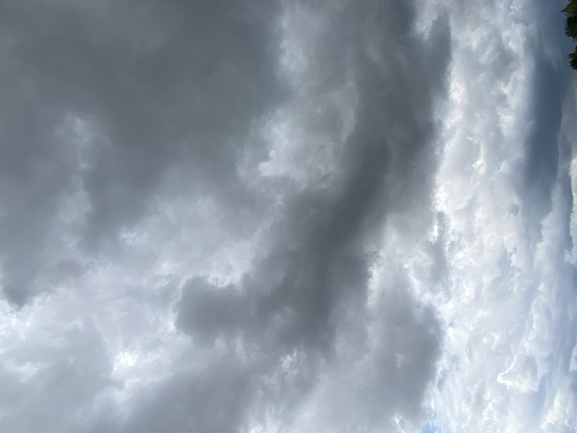 The image is a low-angle shot of a cloudy sky with dark, heavy clouds dominating the frame. There is some lighter cloud cover in the lower portion of the image, with hints of blue sky peeking through. The scene appears to be an outdoor environment, possibly a park or open area, with the suggestion of treetops visible at the very bottom edge of the frame. There are no people, animals, or man-made structures clearly visible, indicating a focus on the natural atmospheric conditions. The lighting suggests it is daytime, but the thick cloud cover creates a subdued and potentially stormy ambiance. No specific landmarks or identifying features of Balashikha, Russia are discernible.