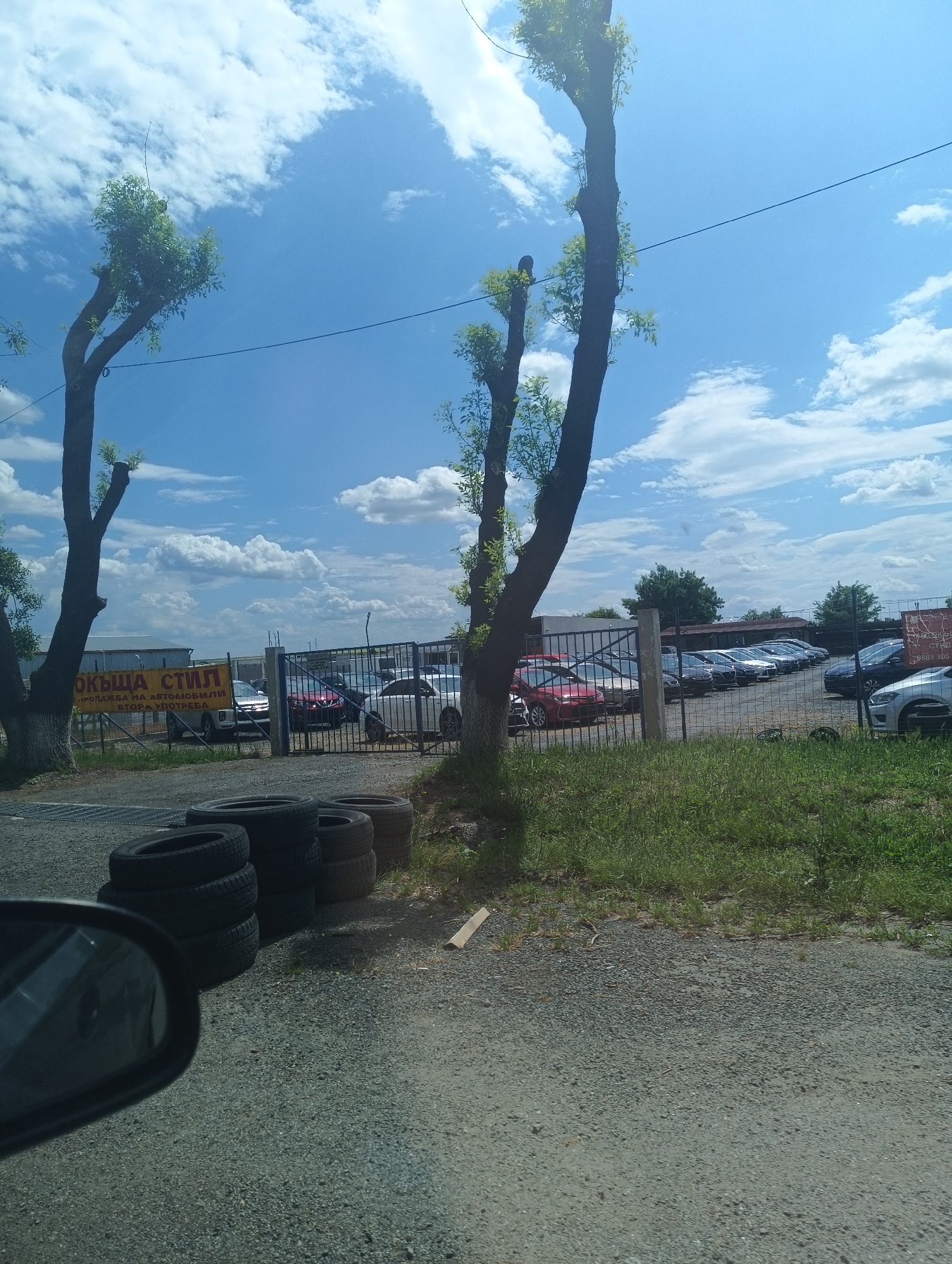 The image shows a used car dealership in an unknown city and country. Several cars are parked behind a dark metal gate. In front of the gate, there are stacks of tires. Two tall, bare trees stand on either side of the gate. The sky is blue with puffy white clouds. A car mirror is visible in the lower-left corner of the image. The ground is covered with gravel, and there is some green grass on the right side of the image. A banner with Cyrillic text can be seen on the fence.