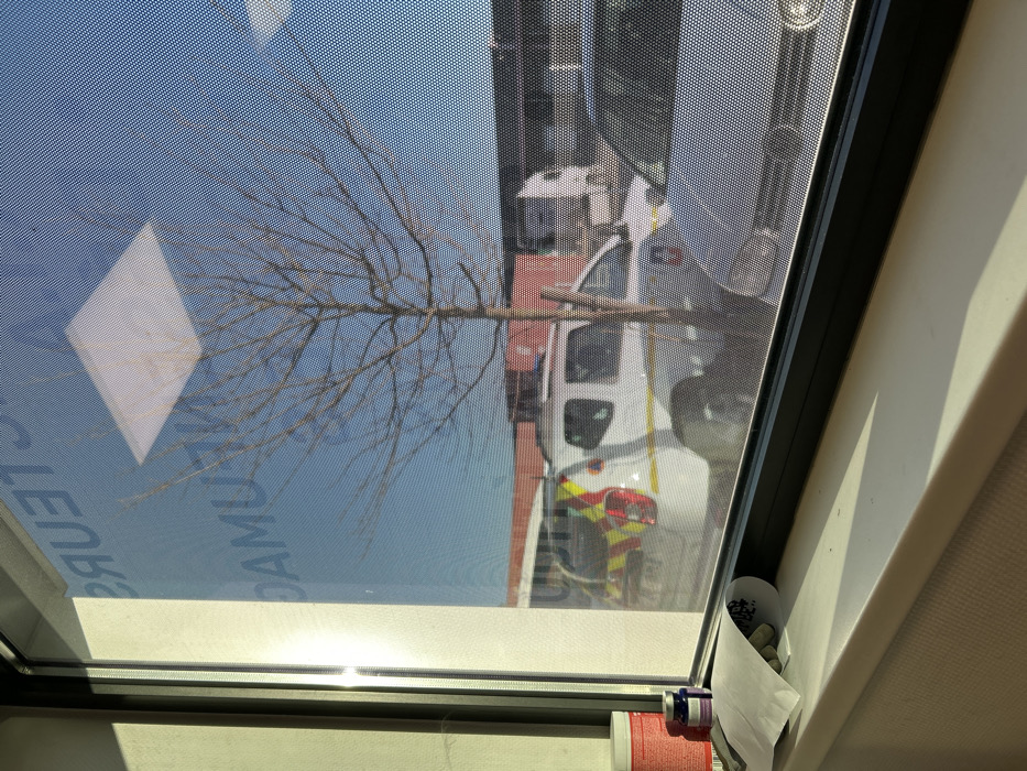 The image displays an exterior scene viewed through a window with a fine dot matrix pattern, indicating a screen or privacy film. The perspective is from inside a building, revealing a sun-drenched windowsill in the foreground. On the windowsill, from left to right, are a red-capped white container, a smaller blue container, and a crumpled white paper containing several small, possibly green or grey, capsule-like objects. Strong direct sunlight illuminates the left interior window frame and casts a sharp shadow across the windowsill.
Reflected in the window are reversed partial words, including "TEURS" and "DAMU," suggestive of French text from inside the building, along with a square overhead light fixture.
Beyond the window, under a clear blue sky, a leafless deciduous tree stands centrally. To the left of the tree, a white Dacia Duster SUV is parked, featuring distinct yellow and red chevron-patterned reflective markings on its rear hatch and a partial license plate starting with "EK." A logo is faintly visible on its front door. To the right of the tree, the front of a plain white compact car, resembling a Volkswagen Golf, is parked. Further in the background, a white box truck is partially visible. A red building structure is present in the mid-ground, with a darker, potentially industrial-style building forming the backdrop. The scene is located in Illkirch-Graffenstaden, France. No individuals are visible.