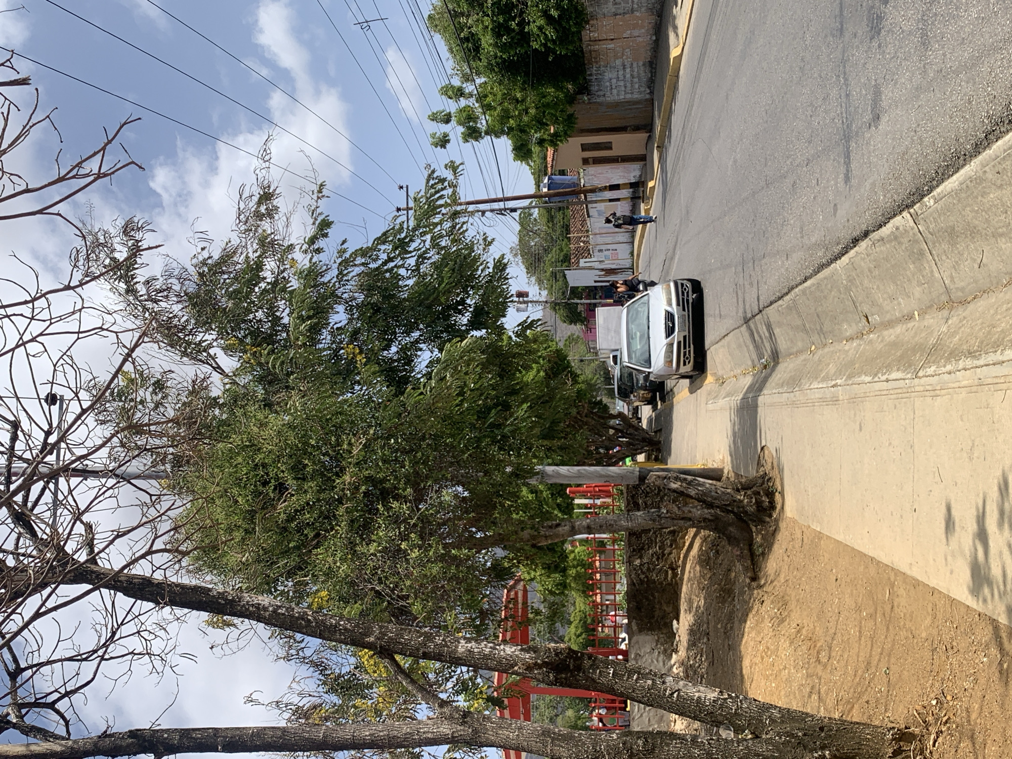 The image depicts a street scene in Santa Ana, Venezuela. A white car is parked along the sidewalk on the right side of the road. Two people are walking on the sidewalk further down the street, near a building. Overhead power lines stretch across the sky. A large tree with exposed roots stands prominently in the foreground on the left. The sidewalk is concrete, and the road is asphalt. A red structure, potentially a fence or some type of park amenity, is visible behind the tree. The sky is partly cloudy.
