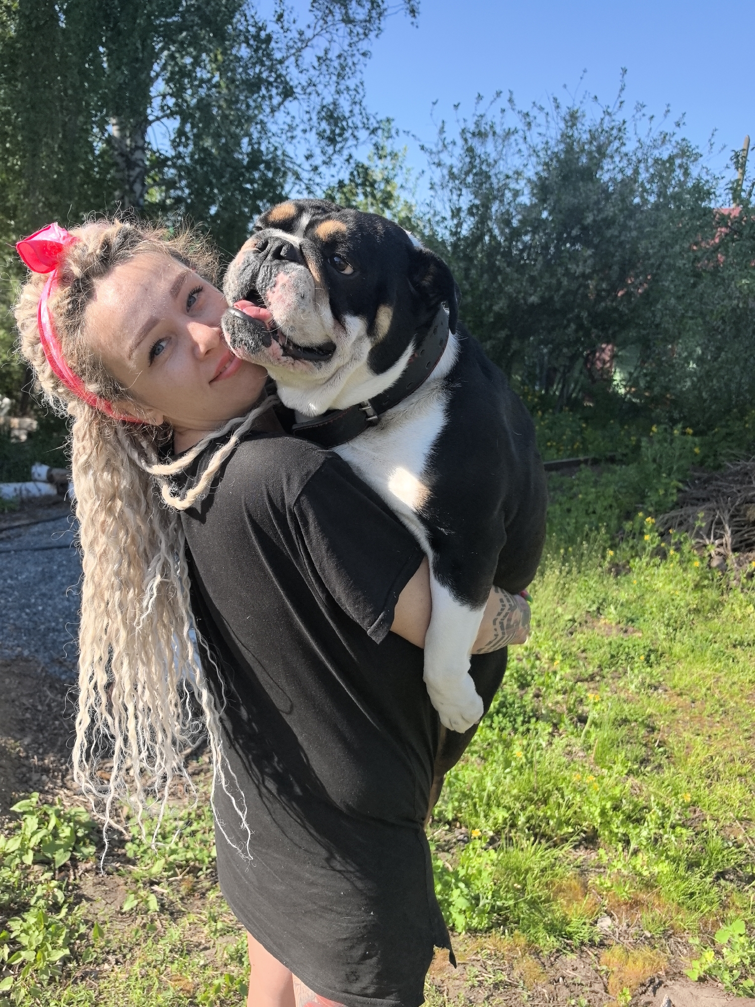 A woman is holding a black and white English bulldog. The woman has long, blonde dreadlocks and is wearing a pink headband. She is wearing a black t-shirt. The dog is licking her face. The background is a grassy area with trees. The photo was likely taken outdoors on a sunny day in Noviy, Russia.