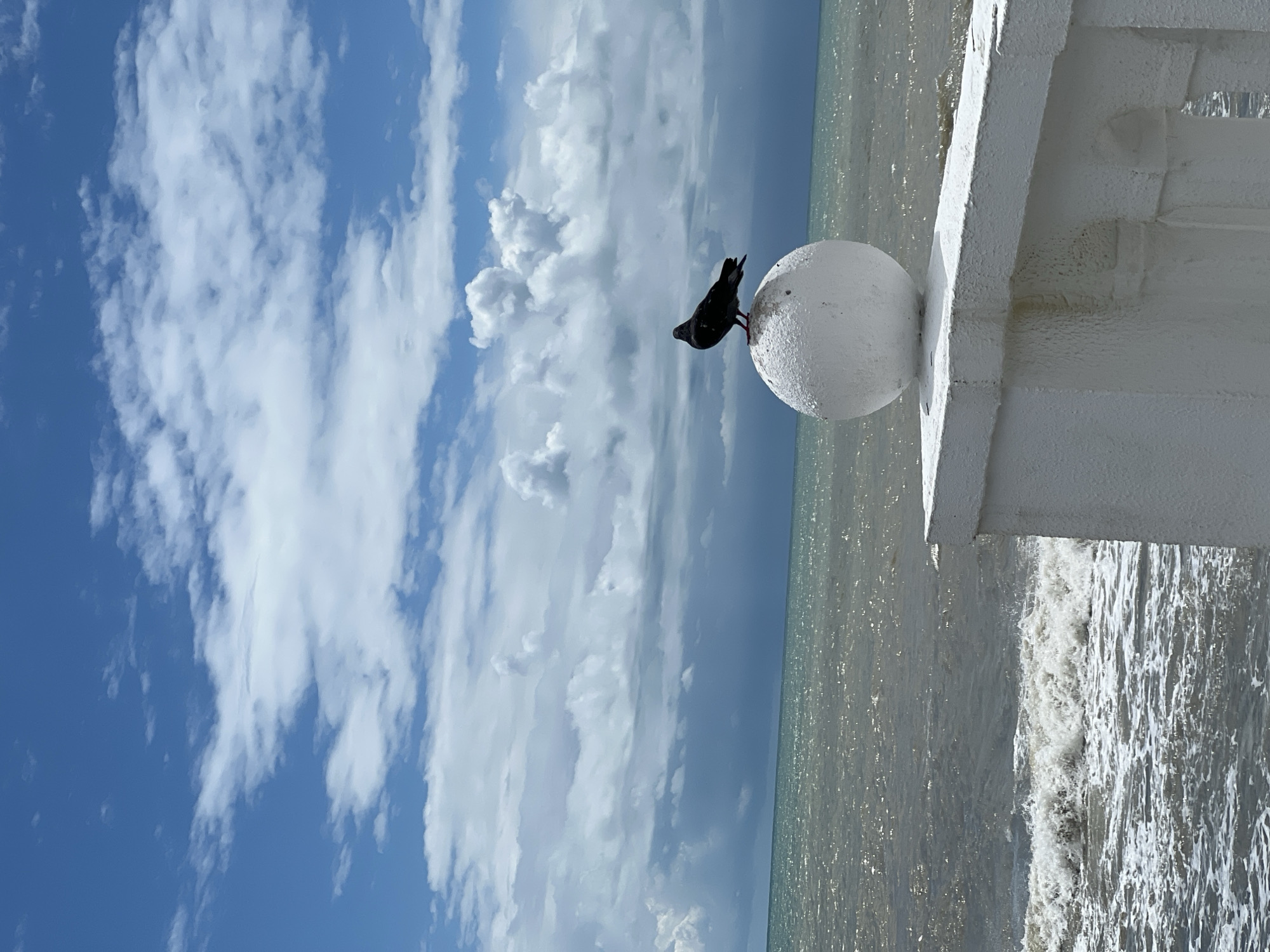 A pigeon perches on a white, spherical architectural detail, possibly a post ornament or finial, set against a backdrop of the sea and sky in Sochi, Russia. The sea, reflecting sunlight, meets the horizon, while the sky is filled with fluffy white clouds against a blue expanse. The architectural element is part of a larger structure, possibly a balustrade or pier. The scene appears to be outdoors, with the natural environment and man-made structures coexisting.