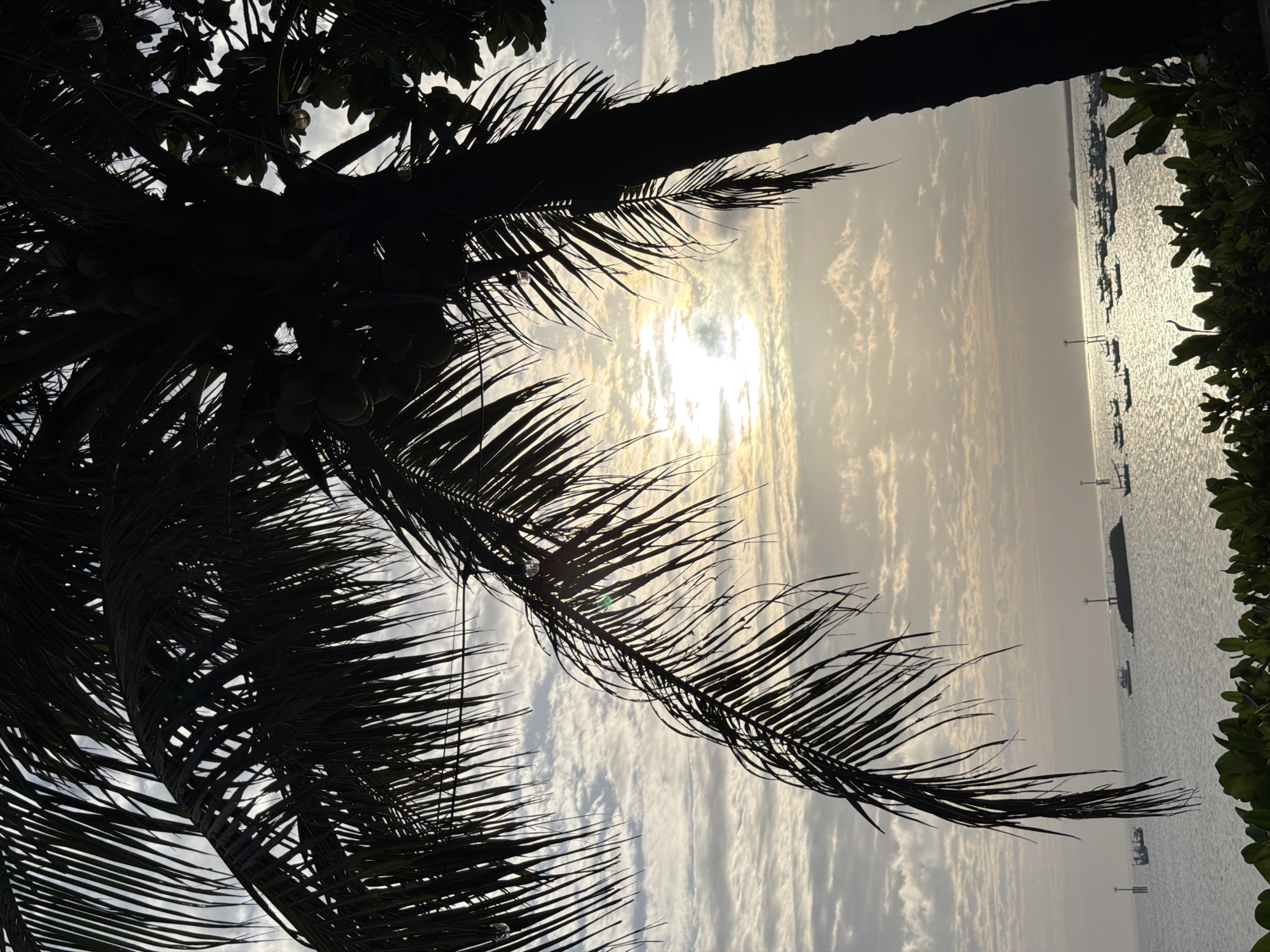 A silhouetted palm tree with coconuts and string lights hangs over a calm ocean at sunrise in Kuta, Indonesia. The sky is filled with wispy clouds, and the sun's rays create a bright reflection on the water. Several small boats are scattered across the sea, with one larger structure possibly a breakwater or a docked boat with a lighthouse-like pole. In the foreground, lush green bushes line the shore. The image captures a tranquil tropical morning.