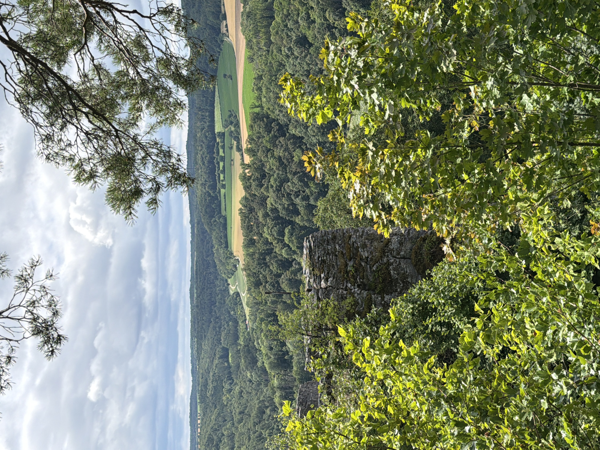 The image depicts a scenic overlook from a rocky outcrop in Heiligenstadt i. OFr., Germany. In the foreground, lush green foliage, likely deciduous trees, fills the bottom of the frame, with a partial view of weathered stone ruins on the left. Beyond the foreground, the landscape unfolds into a vast expanse of dense green forest that blankets rolling hills. In the mid-ground, a winding road is visible, leading through fields of varying shades of green and yellow, suggesting agricultural use. The sky above is partly cloudy, with dramatic grey and white clouds set against a pale blue sky. A pine branch hangs into the frame from the top right, adding a natural framing element to the composition. The scene conveys a sense of natural beauty and historical presence.