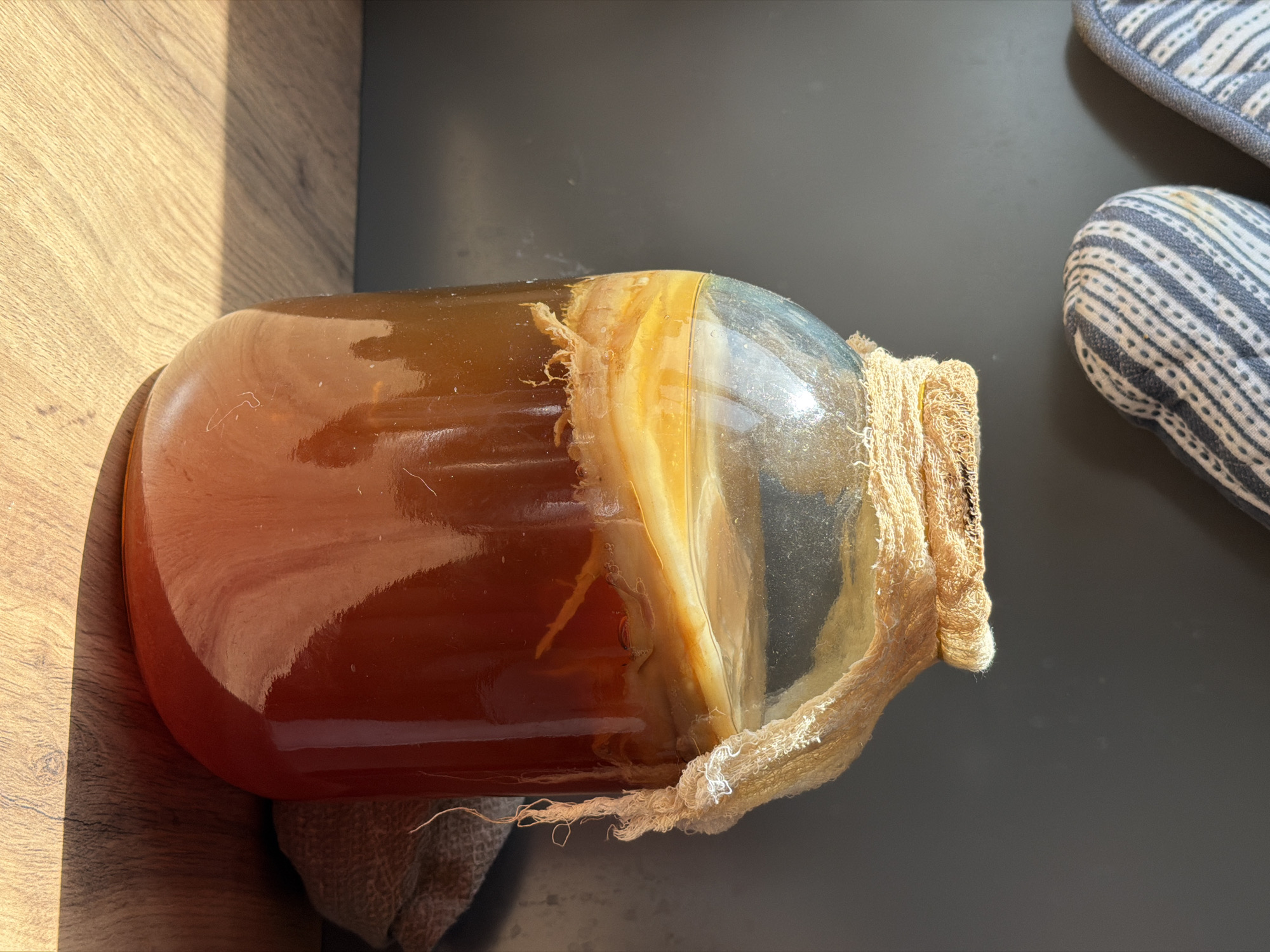 A horizontal eye-level shot depicts a glass jar, presumed to be brewing kombucha, lying on its side on a dark-colored countertop. The jar is nearly full of a brownish liquid with a SCOBY (symbiotic culture of bacteria and yeast) visible inside. The top of the jar is covered with a tan, loosely woven cloth secured around the neck. Parts of the wooden tabletop are lit by sunlight. Next to the jar are blue and white oven mitts. There is no verifiable information regarding the city of Chaikovsky, Russia.