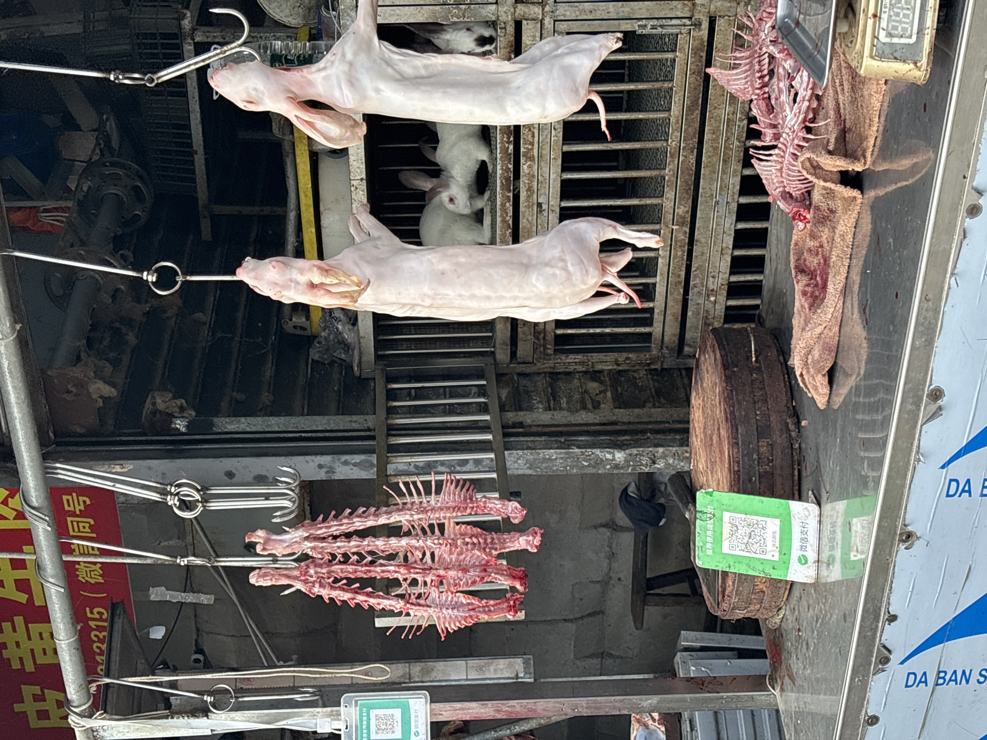 Captured in Jiangjin, China, the image presents a butcher shop scene. Two skinned rabbits hang from metal hooks, positioned above three spines also suspended from hooks. Live rabbits can be seen in the background of the image, positioned behind the skinned rabbits. A cutting board with an attached QR code payment sticker is visible on the right side of the image, and a weighing scale can be seen on the edge of the table. Red Chinese script appears on a sign to the left.