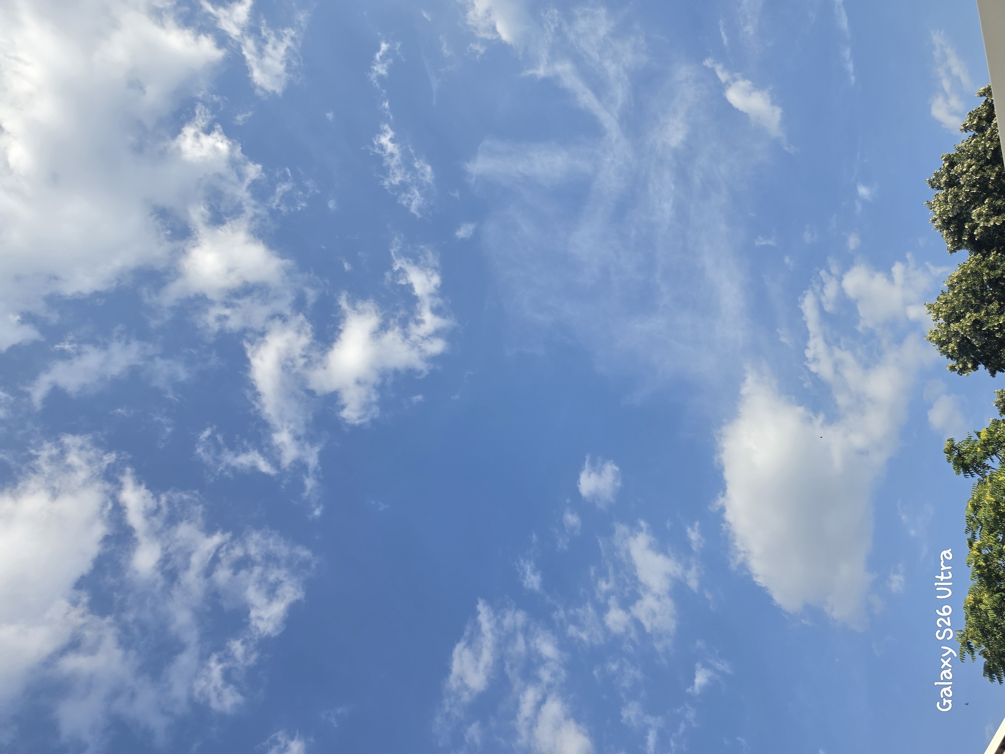The image displays a bright blue sky with scattered white clouds. The clouds vary in size and texture, with some appearing wispy and feathery, while others are larger and more defined. A hint of green foliage from a tree is visible in the upper right corner, suggesting an outdoor setting. The lighting and cloud formations indicate it is daytime, likely with good weather. The "Galaxy S26 Ultra" watermark is subtly present in the lower right quadrant, indicating the device used to capture the photograph. There are no people or specific objects besides the tree, focusing the scene entirely on the sky and its atmospheric conditions. The context of Plovdiv, Bulgaria, provides a geographical reference for the location.