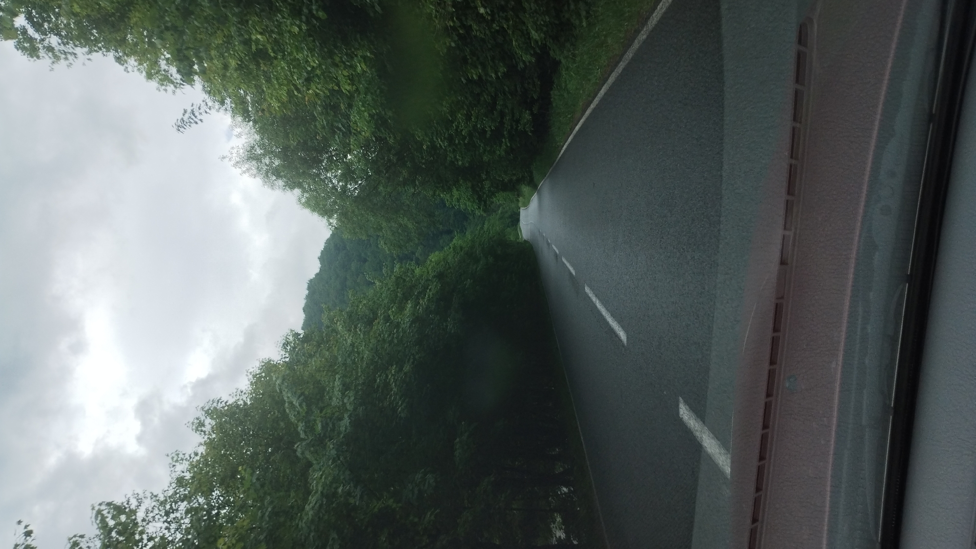 The media file shows a view from inside a vehicle looking out at a wet, asphalt road winding through a dense, green forest. The road has white dashed lines, indicating it is a two-lane highway. The trees on either side of the road are lush and full of leaves, creating a tunnel-like effect. The sky is overcast with heavy clouds, suggesting a gray, possibly rainy day. The image is shot from a slightly elevated perspective, as if the camera is mounted on the dashboard. The interior of the car is visible on the right side of the frame, showing a textured surface that could be part of the dashboard or a door panel. There are no people visible in the frame. The overall mood is somewhat somber due to the weather and dense foliage, but also peaceful, evoking a sense of journeying through a natural landscape. The location is Bilyn, Ukraine.