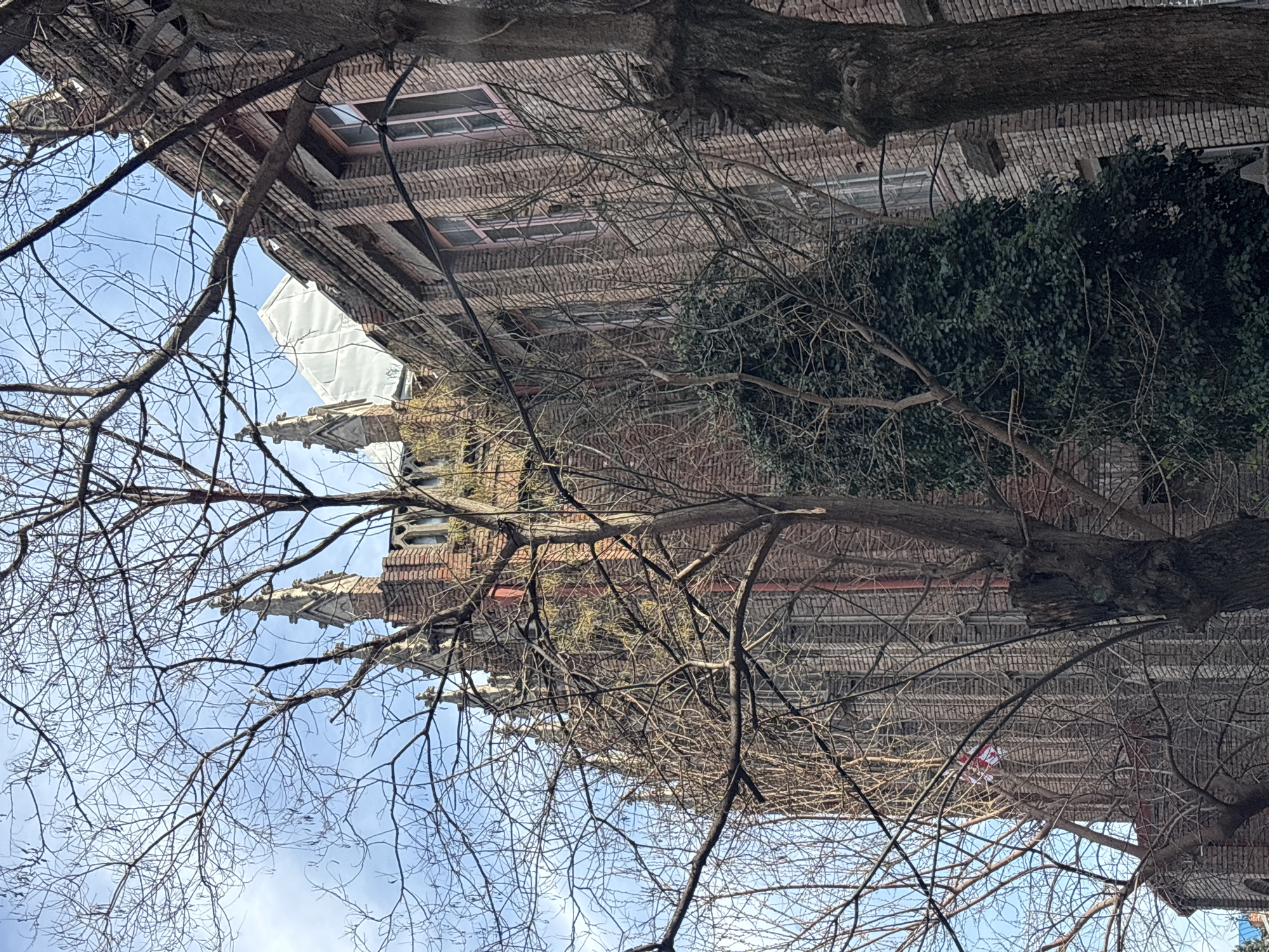 The image depicts the Gabriadze Theater in Tbilisi, Georgia, viewed from below through bare tree branches against a blue sky. The theater's facade is brick, with visible windows and decorative elements. Part of the building is covered in scaffolding and white sheeting. To the right of the theater, tree branches obscure some of the building’s lower facade.