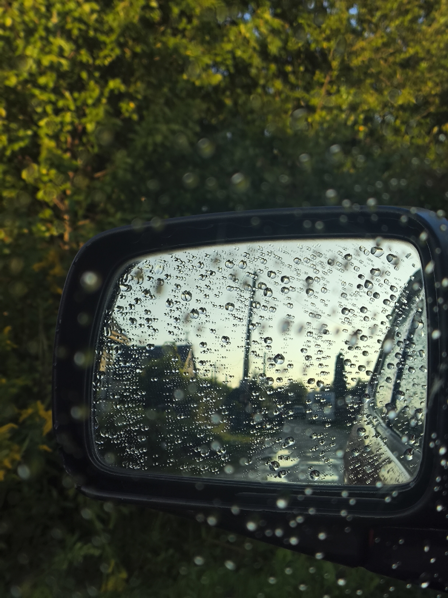 The image shows a side-view mirror of a vehicle, covered in raindrops. The mirror reflects a scene of a road with trees and buildings in the background, with the sky visible above. The green foliage of trees is present on the left side of the image, outside the car. The reflection in the mirror is distorted by the water droplets. The overall lighting suggests it is either early morning or late afternoon. The location is not specified in the image or the provided context, thus it cannot be determined to be Kaliningrad, Russia.
