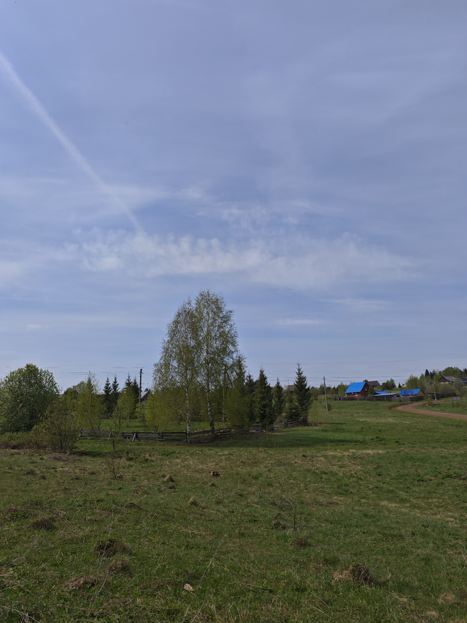 The image depicts a rural scene in Большая Уса, Russia. A grassy field occupies the foreground. In the midground, there's a group of birch trees and evergreen trees, partially enclosed by a wooden fence. Power lines are visible stretching across the scene. In the background, several buildings with blue roofs are present along a dirt road. The sky is blue with some wispy clouds and a contrail. No people are visible in the image.