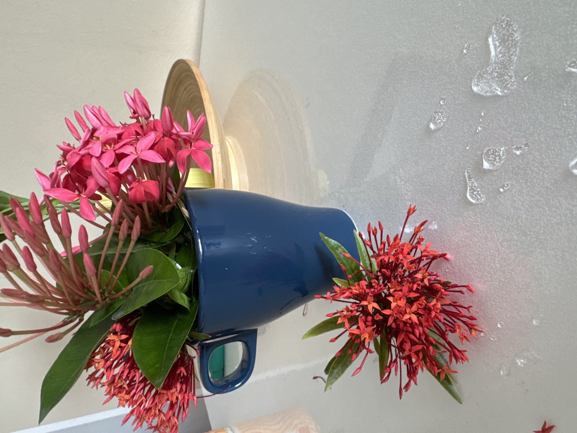 A close-up, eye-level shot captures a dark blue mug filled with vibrant pink and red ixora flowers and green leaves, positioned on a white table. A fallen cluster of red ixora flowers rests on the table to the left of the mug, with several water droplets scattered around it. In the background, a light-colored wall is visible, and a light brown wooden bowl sits behind the mug. The scene is lit by soft, natural light. The location is identified as Kuala Lumpur, Malaysia.