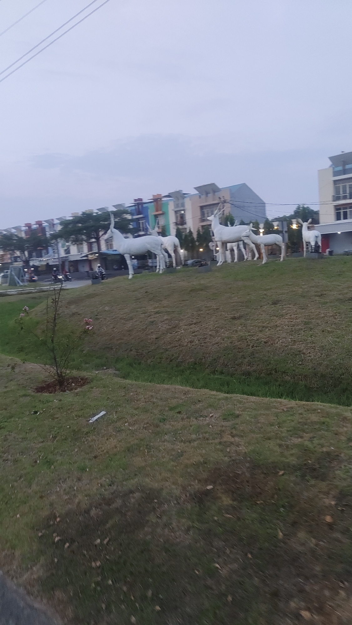 The image depicts a street scene in Pusakarakyat, Indonesia, under an overcast sky. In the background, a row of multi-story buildings with colorful facades stands out. In front of these buildings, on a grassy hill, are several white statues of deer. Some of these deer appear to be adults, while others are smaller, suggesting a family grouping. The foreground features a sloped lawn with sparse grass and a small, bare-branched shrub with a few pink flowers. A dark, paved surface, likely a road, is visible in the lower left corner of the frame. A few motorcycles are present on the road, suggesting light traffic. The overall impression is of an urban environment with decorative elements.