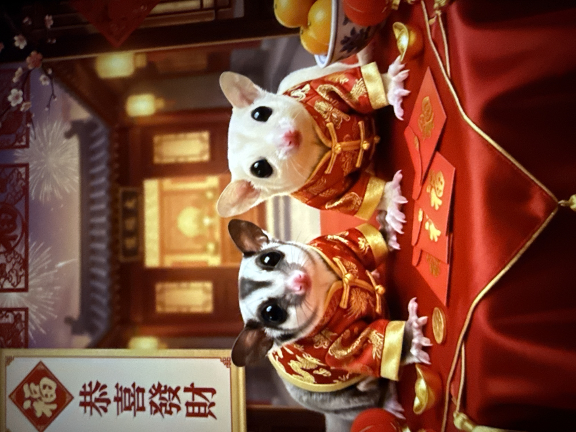 The image depicts two sugar gliders dressed in red and gold traditional Chinese attire, sitting on a red tablecloth. The background shows a traditional Chinese temple or building with lanterns and fireworks in the sky. There are also red envelopes and gold ingots on the table, suggesting a Chinese New Year celebration. The scene is festive and celebratory. The image does not depict any location in Taipei, Taiwan.