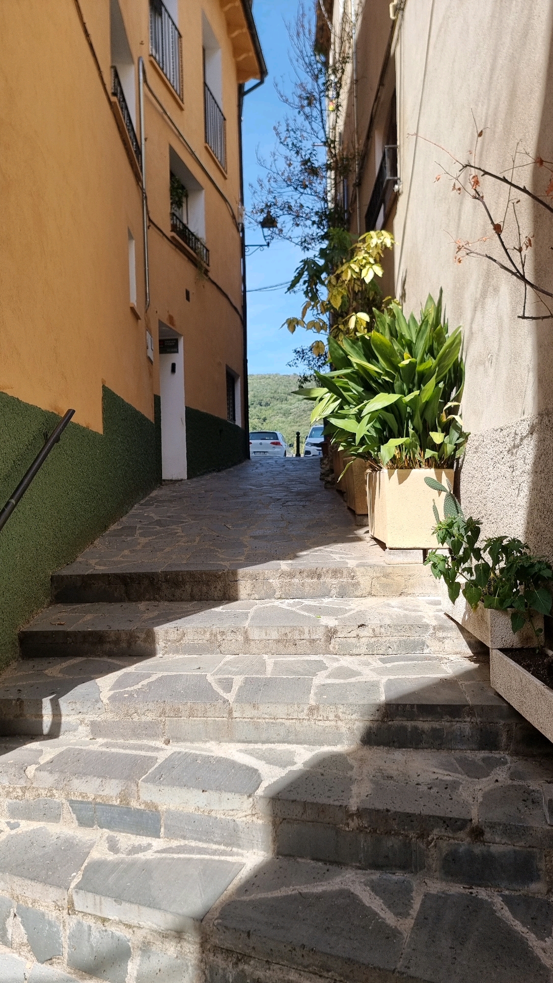 This image depicts a narrow, uphill cobblestone alleyway with buildings on either side. On the left, a building with an orange facade is visible, featuring a green lower section and balconies. On the right, a building with a light-colored textured wall rises up, with a large potted plant in the foreground. The alleyway itself is paved with irregular flagstones and is partially covered in shadow. In the distance, two white cars are parked, and beyond them, a hilly, tree-covered landscape is visible under a clear blue sky. The scene appears to be in the city of Castellfollit De La Roca, Spain, characterized by its narrow streets and characteristic architecture.