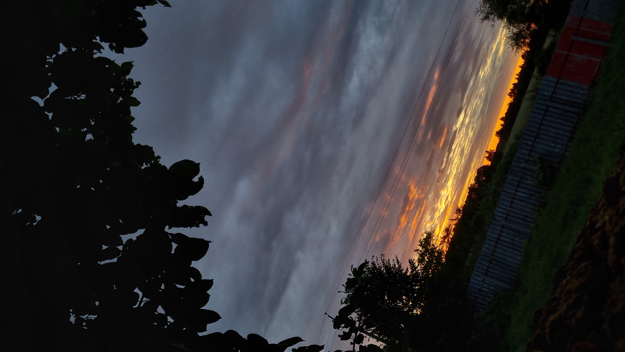 This is a tilted, wide-angle outdoor photograph of a sunset viewed from a rural area. In the foreground, silhouetted leaves from a tree frame the left side of the image. The sky displays a dramatic sunset with streaks of orange, yellow, and pink clouds against a dark gray background. Power lines are visible diagonally across the sky.
The middle ground shows a dark treeline separating the sky from a fenced area. The fence appears to be made of corrugated metal or similar material. To the right of the fence, there is a patch of green grass and a section of red and gray colored material, possibly part of a building or structure. The overall setting suggests a rural or semi-rural environment in Russia, near Vysokoe.
The time of day is clearly sunset, indicated by the vibrant colors in the sky. The weather appears to be partly cloudy, with the clouds contributing to the dramatic visual of the sunset. The angle of the shot and the silhouetted foreground create a sense of depth and perhaps a slightly melancholic or contemplative mood. There is no visible text in the image.