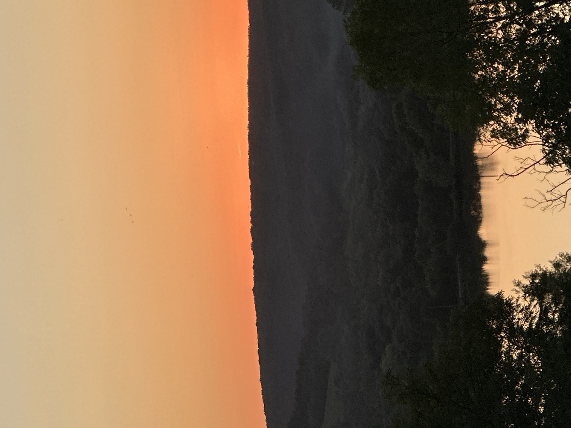 A serene sunset scene unfolds over the rolling hills and a tranquil body of water, casting a warm, orange glow across the sky. The horizon is defined by the dark silhouette of a tree-covered ridge, its undulating shape creating a dramatic contrast against the vibrant sky. Below the ridge, the landscape descends into a valley densely populated with trees, their dark forms hinting at the approaching twilight. A calm lake or river occupies the foreground, its surface reflecting the sky's colors and the surrounding foliage. The water appears still, with gentle ripples disturbing the mirrored image. Silhouetted trees frame the lower portion of the image, their bare branches and dark leaves adding depth and texture to the composition. The overall impression is one of peace and natural beauty, with the fading light creating an ethereal atmosphere.