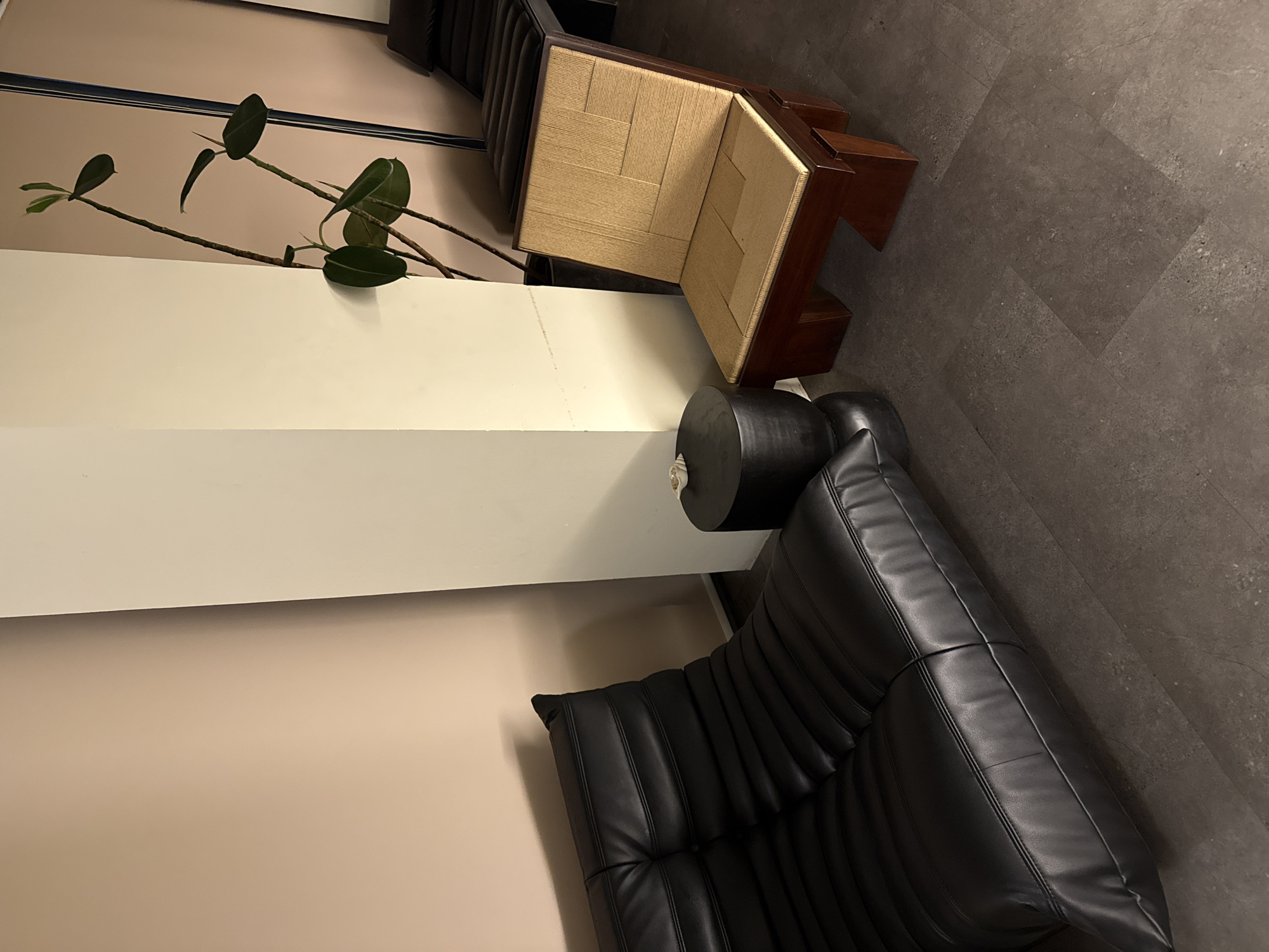 The image displays an indoor scene, rotated 90 degrees counter-clockwise, featuring modern furniture and a plant. A black leather sofa with a distinct ribbed design and prominent stitching occupies the lower right portion of the frame. To the left of the sofa, against an off-white partition wall, is a small, dark cylindrical object, possibly a side table or stand, with a lighter-colored, reflective item placed on its top surface.
Behind the off-white partition, and positioned more centrally in the image, is a wooden stool or low chair. This piece features a dark wooden frame and a light tan-colored seat and backrest made from a woven material, possibly raffia or straw, arranged in a geometric, interlocking pattern.
Emerging from behind the off-white partition wall and extending upwards and rightwards across the frame is a tall plant with several branches and large, dark green, oval-shaped leaves, suggesting a species like a rubber plant (Ficus elastica). The background consists of a plain light beige or pale pinkish wall. The floor is a dark gray color, appearing to be made of large tiles or concrete, with a subtle speckled texture and visible seams.
The lighting appears to be artificial, typical of an indoor setting, and no specific time of day can be inferred. There is no activity taking place, nor is any visible text present in the image.