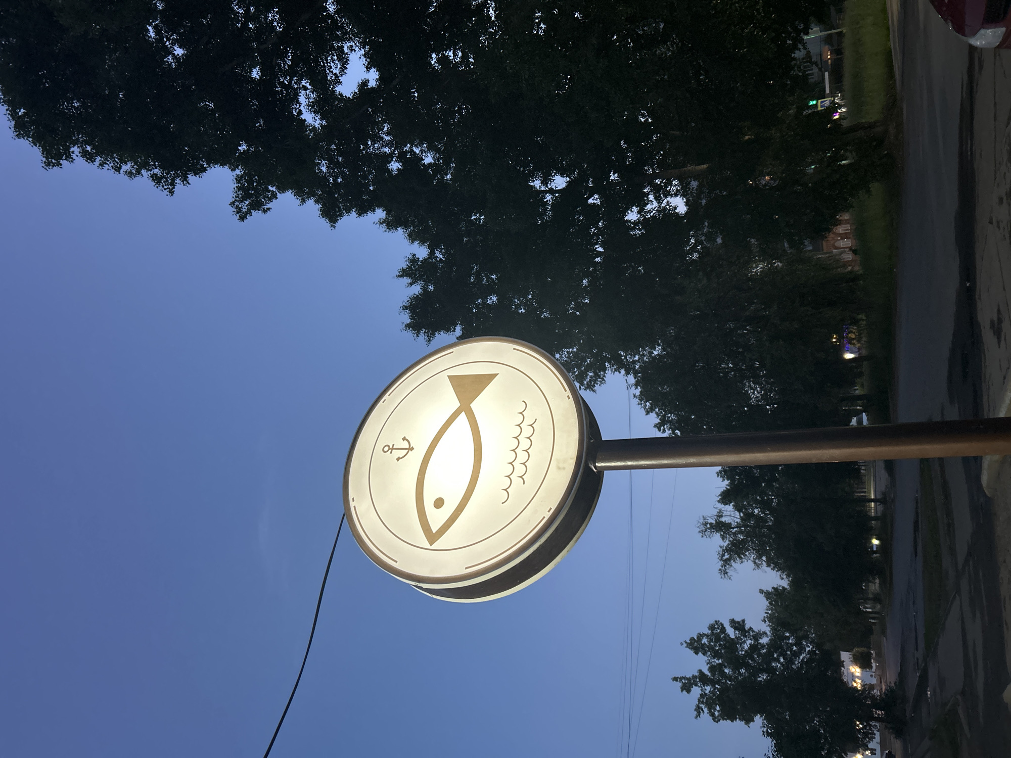 The image shows a circular sign with a fish and anchor motif, illuminated from within, mounted on a brown pole. The sign is positioned outdoors, with a dark blue twilight sky in the background. To the right of the sign, a large, dark green tree with dense foliage dominates the frame. To the left of the sign, more trees are visible, as well as power lines stretching across the sky. The ground in the foreground appears to be a paved area, possibly a street or sidewalk, with reflections suggesting dampness. In the distance, buildings and streetlights can be discerned, indicating an urban or suburban setting. The overall impression is that of a street scene at dusk in the city of Chaikovsky, Russia.