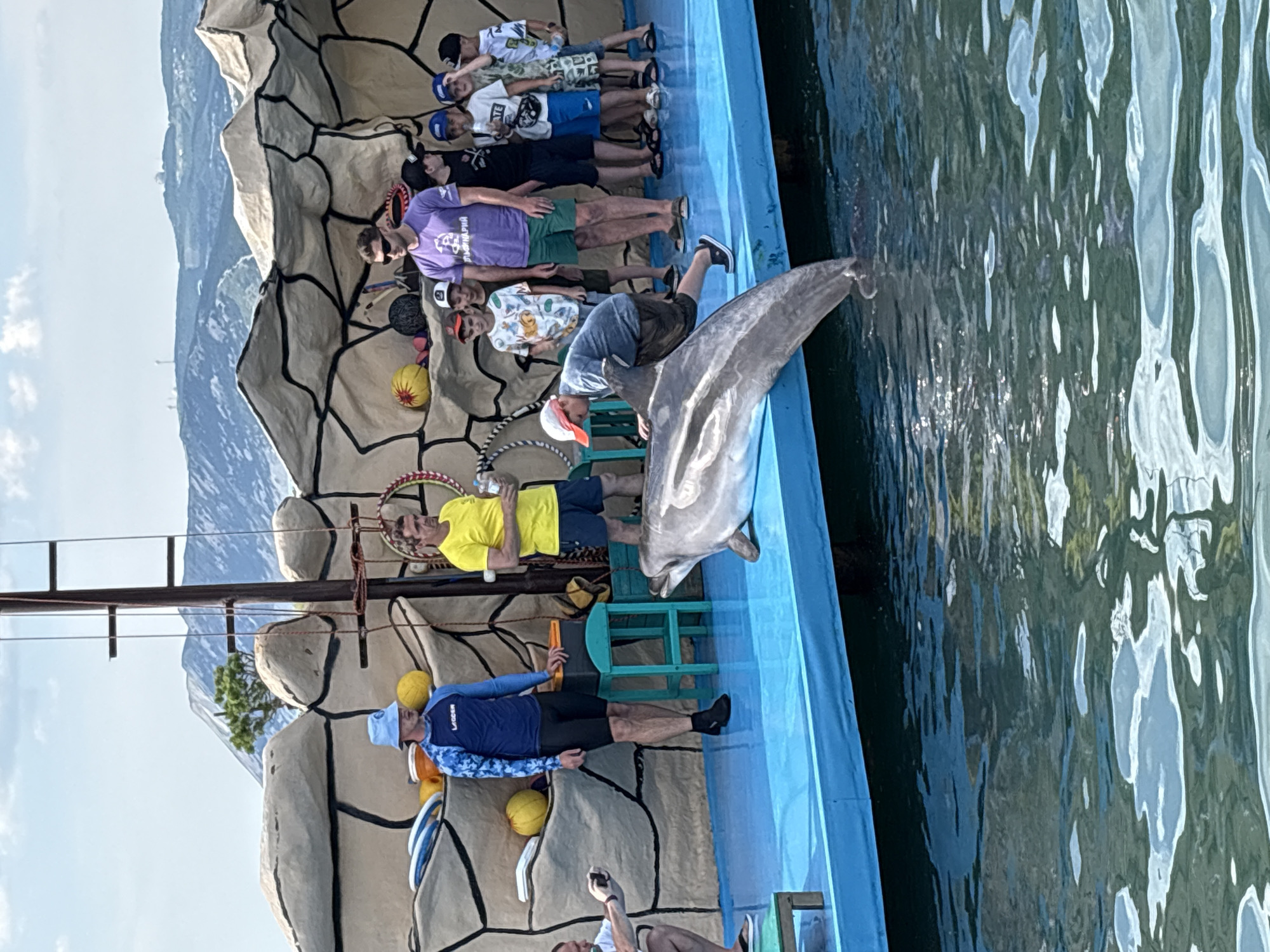 This image captures an outdoor dolphin interaction event at a marine park in Sukko, Russia. A large grey dolphin with a lighter underside is partially beached on a bright blue platform, with its tail still submerged in blue-green water. A young boy, wearing a white and orange cap and a grey t-shirt, is leaning over the dolphin, gently touching its back. On the blue platform, several individuals observe the interaction. To the left, a man in a blue bucket hat and a blue patterned rashguard stands next to a teal stool. Further right, a man in a bright yellow t-shirt and dark shorts holds a clear bottle. To his right, another man in sunglasses, a purple t-shirt (with "ДЕЛЬФИНАРИЙ" visible), and green shorts stands in front of a group of approximately eight young boys, all wearing casual clothing and some with baseball caps, who are watching the dolphin. In the far left foreground, partially visible, a man kneels and records the scene with a smartphone. The background features a stage constructed with artificial, light brown rock-like formations, adorned with props such as yellow balls, black balls, colorful hoops, and blue-and-white floating discs. A dark wooden pole, resembling a ship's mast, stands near the center of the backdrop. Beyond the stage, distant, light-colored mountains with sparse vegetation and some structures on their peaks are visible under a clear, light blue sky with scattered white clouds. The water below the platform shows ripples and reflections.