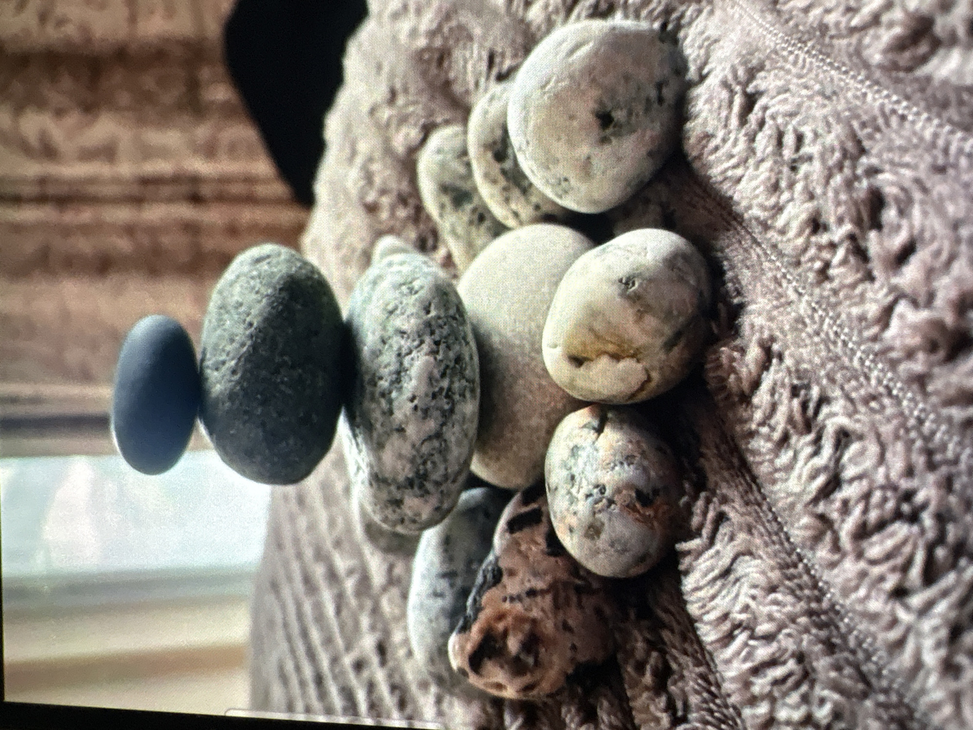 The image shows a small, carefully balanced cairn of smooth, gray and white stones. The stones are of various sizes, with the largest at the bottom and progressively smaller ones stacked on top, culminating in a single dark gray stone at the apex. The cairn is positioned on a textured, brownish-purple blanket or textile, which has a soft, plush appearance. The background is out of focus, suggesting an indoor setting with soft lighting. The overall scene evokes a sense of calm and balance. There are no people visible in the image, and no specific location in Batumi, Georgia, can be identified.