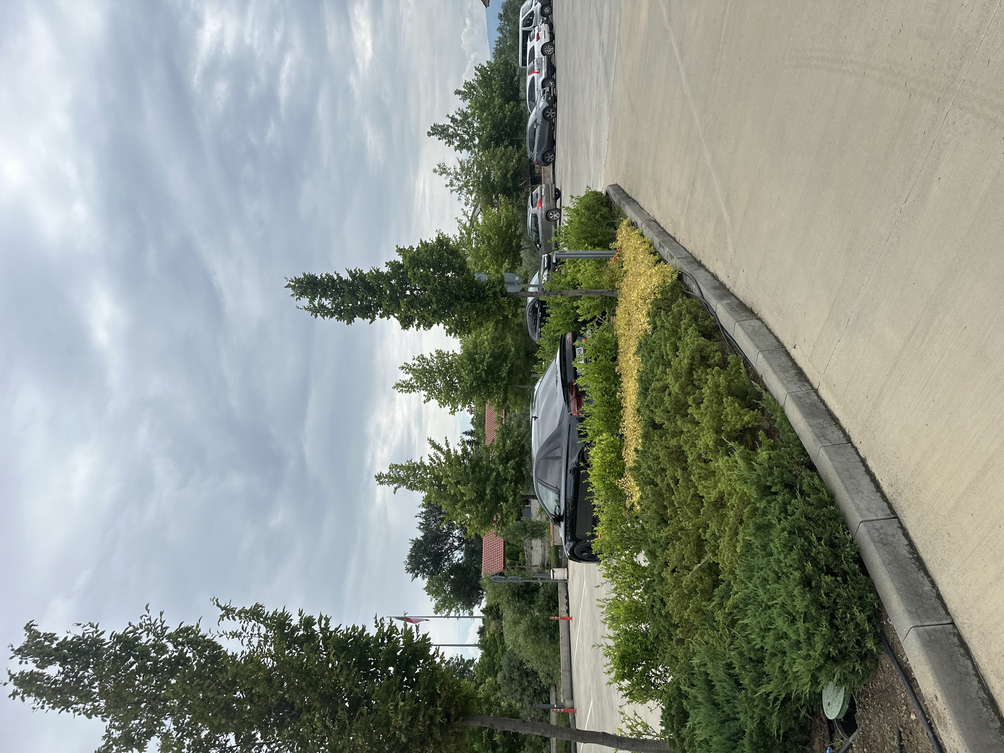 The image depicts an outdoor scene with a parking lot, trees, and a cloudy sky. Several cars are parked in a line on the paved surface, with a curb and a row of green and yellow bushes separating the parking lot from what appears to be a grassy or dirt area. Tall green trees are visible behind the bushes and cars, with some buildings with red-tiled roofs in the background. The sky is overcast with thick, gray clouds, suggesting a possibly rainy or stormy day. The overall impression is that of a typical parking area in a somewhat natural or suburban setting, possibly on a day with inclement weather. There are no people visible in the image. The time of day is difficult to determine due to the overcast conditions, but the lighting suggests it is daytime. No specific text is visible in the image.
