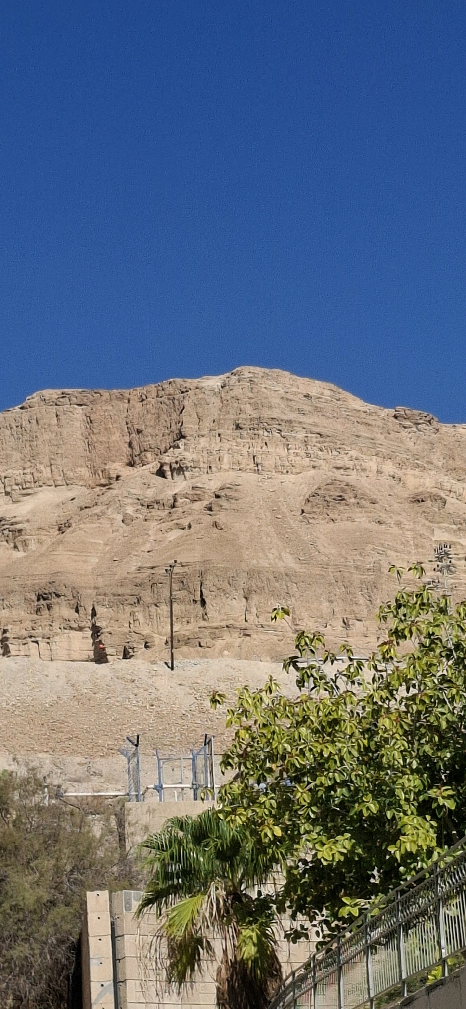 In Tamar Regional Council, Israel, a mountain range with layered rock formations rises against a clear blue sky. The terrain is arid and shows evidence of erosion, with distinct horizontal strata. In the mid-ground, a solitary wooden utility pole stands vertically on a rocky, uneven surface. A fence with metal posts and wire mesh is visible below the pole, suggesting the presence of a boundary or enclosure. To the right of the pole, a lush green tree with abundant leaves dominates the foreground, its branches reaching upwards. Further to the left, a palm tree with fronds is partially visible, as are sections of a stone wall and a metal railing. The overall scene depicts a natural landscape juxtaposed with man-made structures.