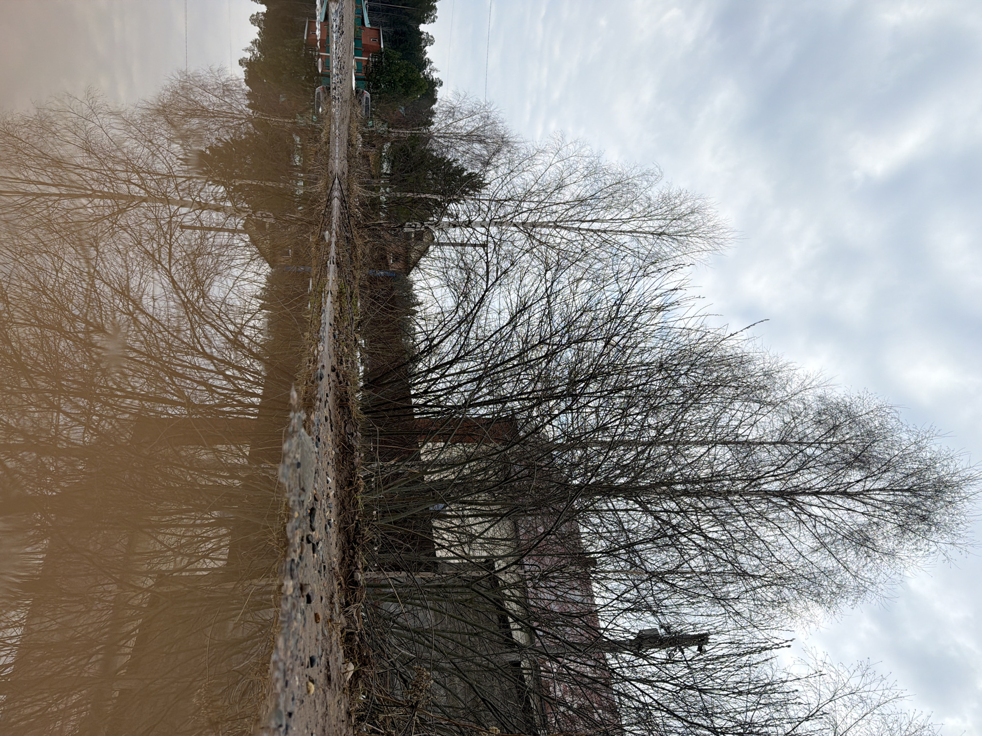 The image depicts a reflection in a puddle of what appears to be an abandoned building and a line of trees. The reflection in the puddle makes it difficult to determine the exact nature of the scene, but some details are discernible.
The building is a multi-story structure with what appear to be boarded-up windows. Its exterior has brick or brick-like elements. The trees are bare, suggesting it is either late fall or winter.
The location is Chaikovsky, Russia. The surroundings include a road with what seem to be tire tracks, leading to small houses, possibly one with green walls and a red roof. The sky is overcast with white clouds.