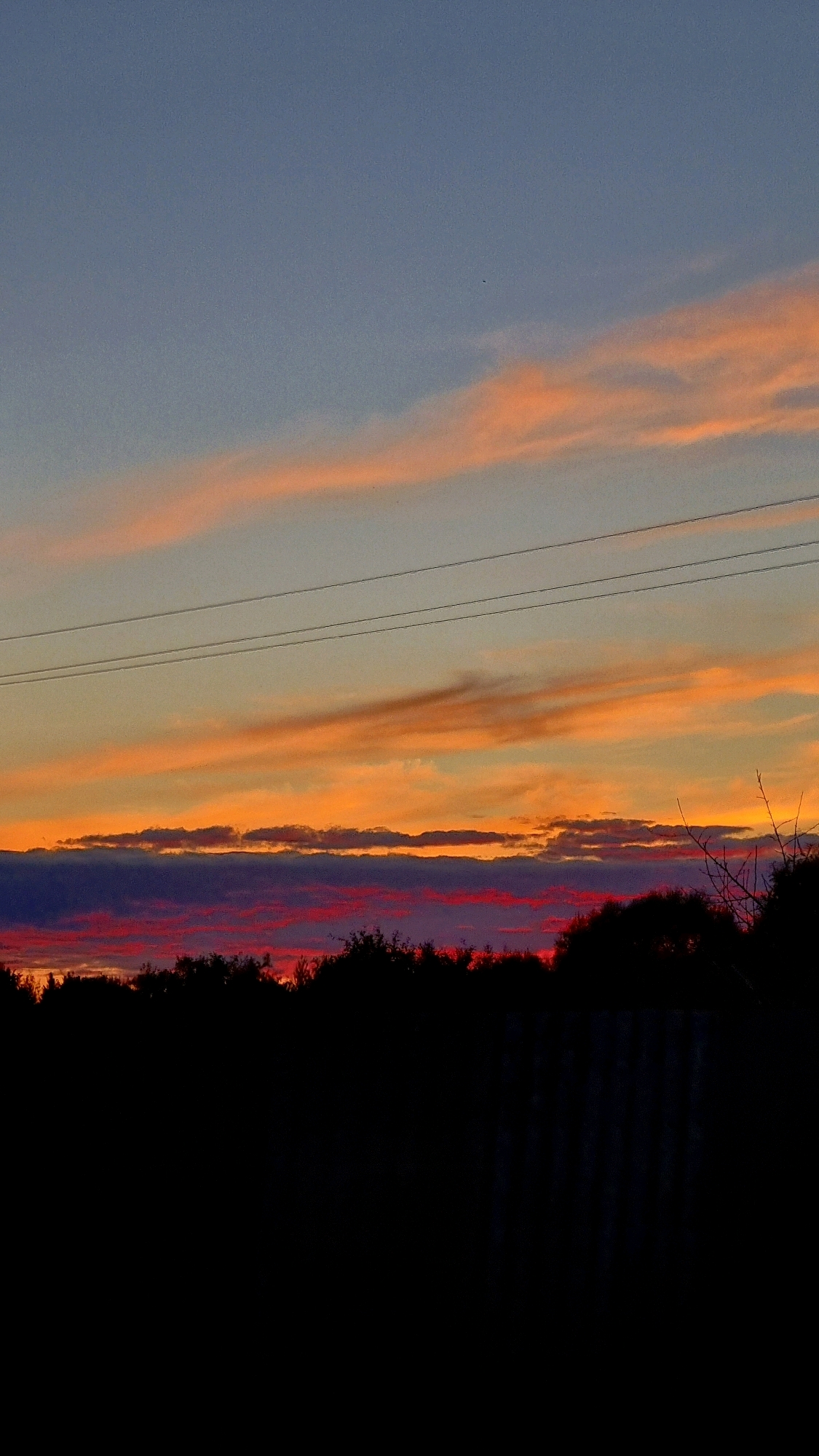 A sky at dusk is depicted with multiple layers of clouds. The highest clouds are wispy and pinkish-orange, streaked horizontally across a gradient of pale blue to a soft yellow. Below these, a band of vibrant orange and yellow clouds stretches across the horizon, catching the last light of the sun. Further down, darker, more solid clouds are tinged with red and purple. Silhouetted against the colorful sky is a dense line of dark trees. In the foreground, the bottom portion of the image is dominated by the black silhouettes of more trees and a section of a dark, textured surface, possibly a roof or fence. Three thin, dark wires run horizontally across the upper part of the sky. The scene appears to be an outdoor landscape, likely a rural or suburban setting at sunset or twilight.