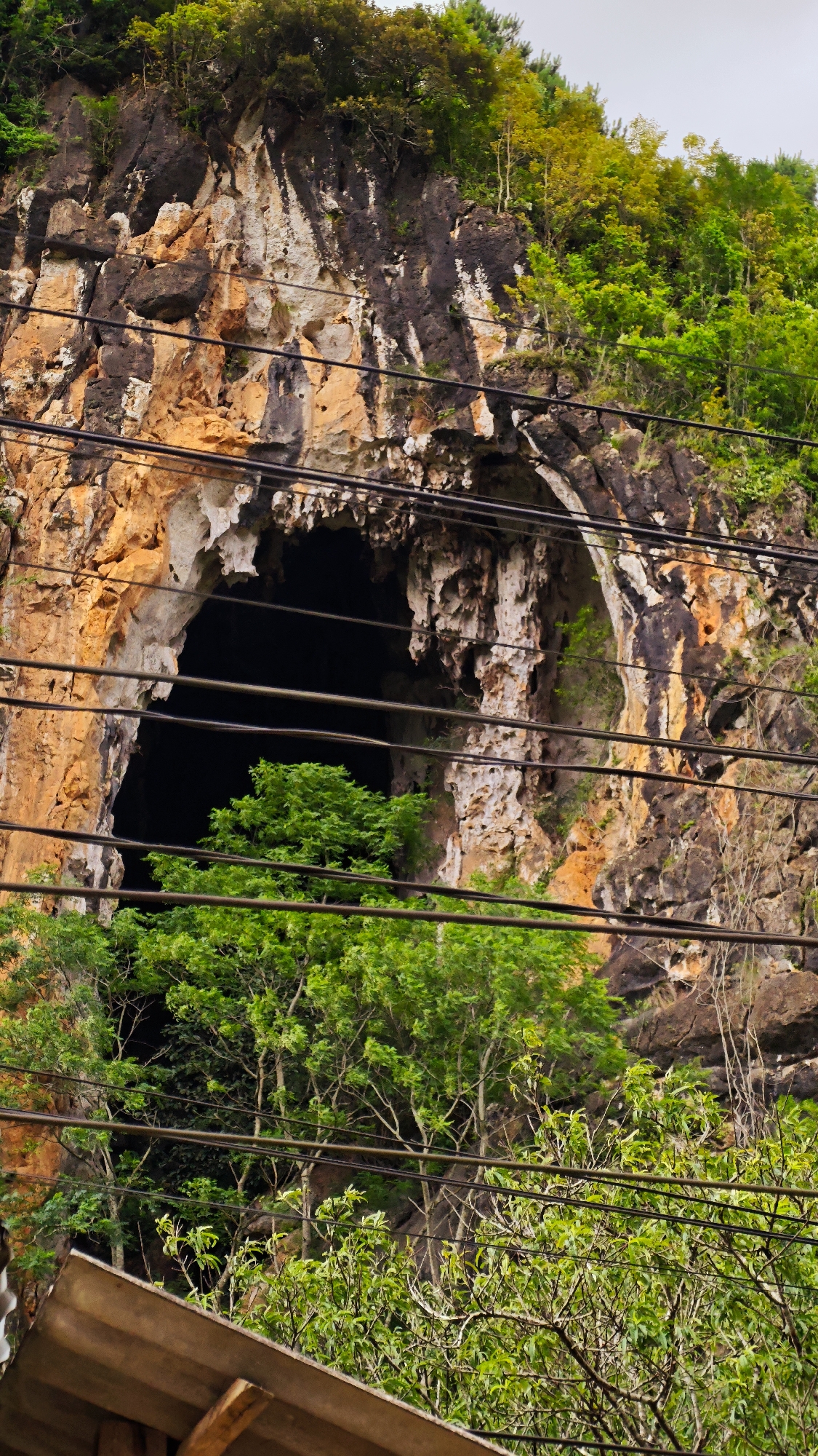 This vertical shot captures a large cave entrance situated within a rugged, multi-colored rock face in Tú Lệ, Vietnam. The rock face displays a blend of earthy tones, including deep browns, oranges, and off-white streaks, indicating natural geological formations and erosion patterns. Lush green vegetation, comprising trees and bushes, densely covers the top of the mountain and sprouts from various crevices on its slopes.
The cave opening, centrally located, is a dark, wide archway, with its interior appearing completely black, suggesting significant depth. The rock surrounding the entrance exhibits textured, irregular formations, possibly stalactites or flowstone, particularly prominent on the right side of the aperture. In the mid-ground, a cluster of vibrant green trees partially obscures the lower section of the cave's opening.
Multiple black utility wires stretch horizontally across the frame, positioned at varying heights, slightly impeding a clear view of the cave and the rock face. In the bottom-left foreground, the edge of a corrugated metal roof, likely a rustic structure, is visible, supported by a wooden beam. Additional green foliage, including leafy branches and slender tree trunks, occupies the immediate foreground and mid-ground, adding layers of natural obstruction. The sky above is overcast and light grey. No people or animals are present in the scene.