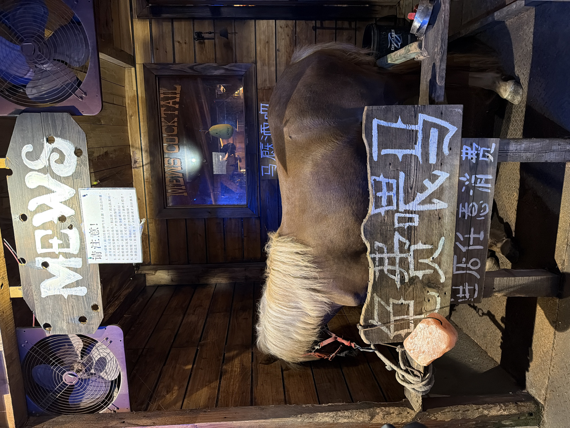 The image shows the interior of what appears to be a horse-themed establishment in the city of Chongqing High-tech Zone, China. The space is enclosed with wooden plank walls and flooring, giving it a rustic and barn-like ambiance. A life-sized replica of a horse occupies a central space, its head and mane drooping down towards the floor. A red halter is visible on the horse's head.
Wooden signs with Chinese characters hang near the horse. Other signs with English text such as "MEWS" and "MEWS COCKTAIL" are also present. There is also a sign written in Chinese that translates to "Please note!".
An electric fan is mounted on the wooden wall.