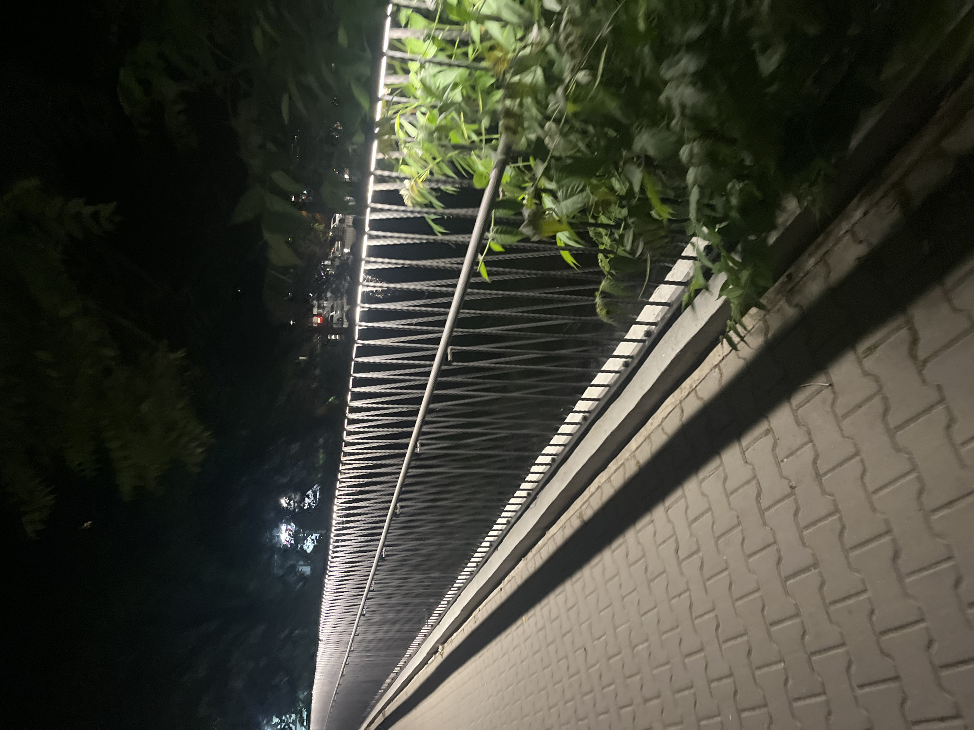 The image shows a night scene in what appears to be an urban environment, likely Blagoevgrad, Bulgaria. A modern pedestrian bridge or walkway is prominent, featuring a gray metal railing constructed of thin, horizontal cables running the length. Overgrown green vegetation partially obscures the railing in the upper right. The walkway surface is paved with interlocking gray brick pavers. The left side of the image is dark, with indistinct trees and foliage visible. Streetlights are faintly visible in the distance.