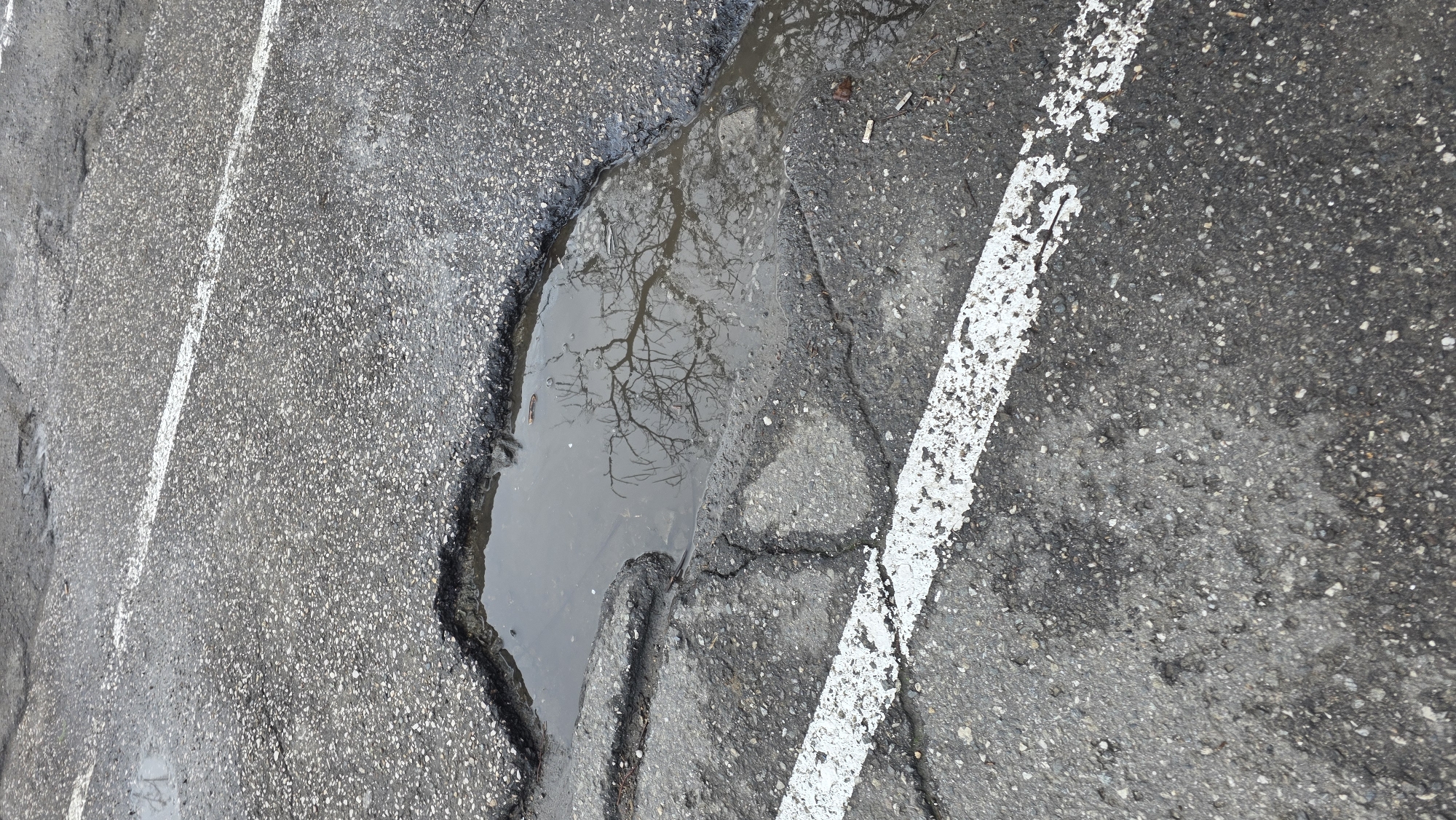 A pothole filled with water is visible on a gray asphalt surface, likely a parking lot or roadway. The pothole is located between two faded white painted lines. A tree is reflected in the water within the pothole. The asphalt around the pothole is cracked and damaged. The photograph was taken in Blagoevgrad, Bulgaria.