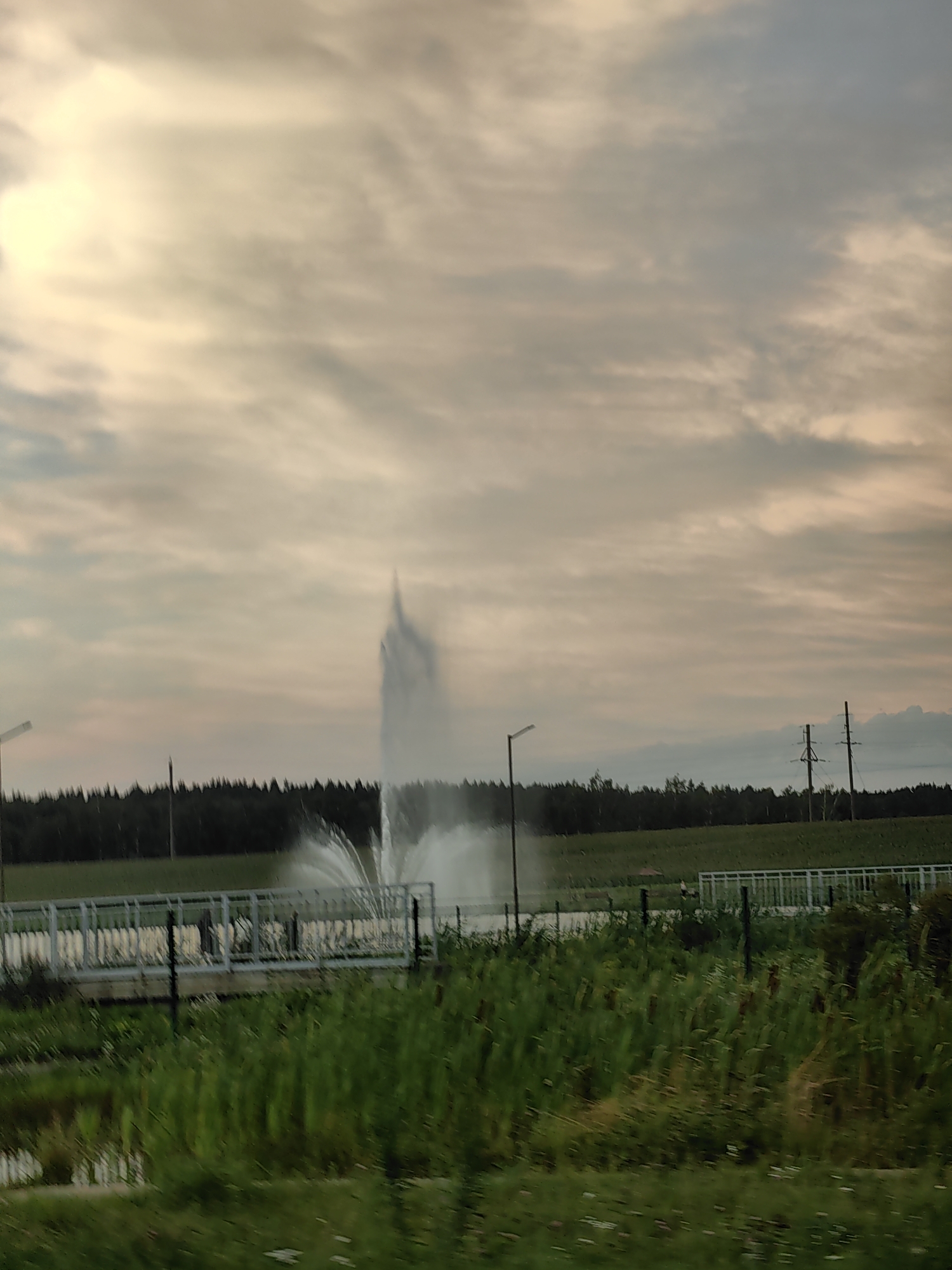 The image depicts a geyser-like water spray in an outdoor setting, likely near Dzyarzhynsk, Belarus, given the provided context. The spray is the central focus, shooting upwards from a body of water. In the background, a dark line of trees forms a horizon, with power lines and poles visible against a cloudy sky. A white metal railing or fence stretches across the middle ground, possibly a walkway or barrier. The foreground is dominated by tall, green grass and some waterlogged areas. The overall scene suggests a possibly industrial or agricultural area with a dramatic natural or man-made water feature.