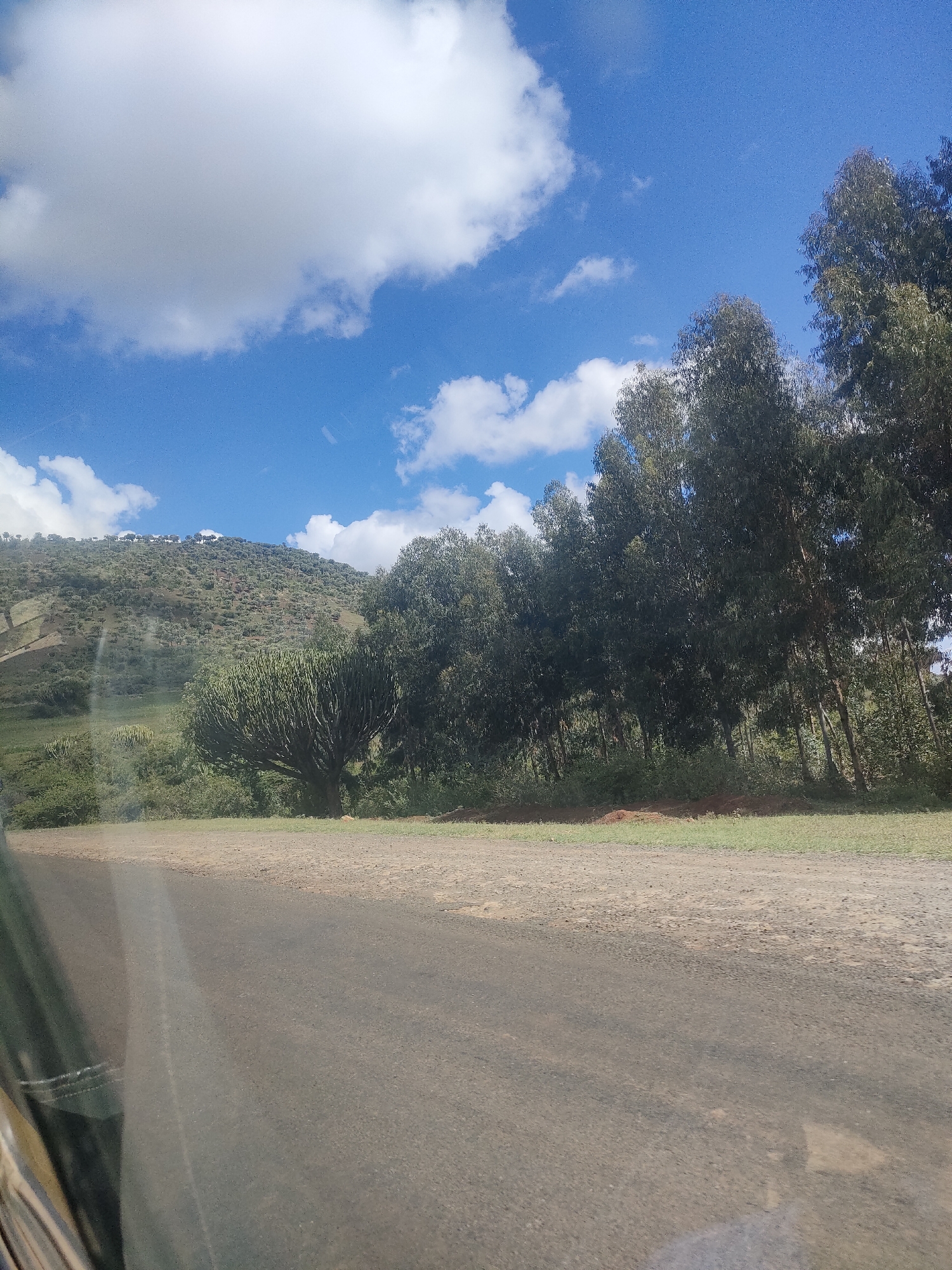 The image depicts a landscape near Kisima ward, Kenya, under a partially cloudy blue sky. A road occupies the foreground, and a grassy verge separates it from a row of trees. Beyond the trees is a hill densely covered in vegetation. A distinctive tree with multiple branches resembling a candelabra shape is visible among the other trees. The scene is captured from inside a vehicle.