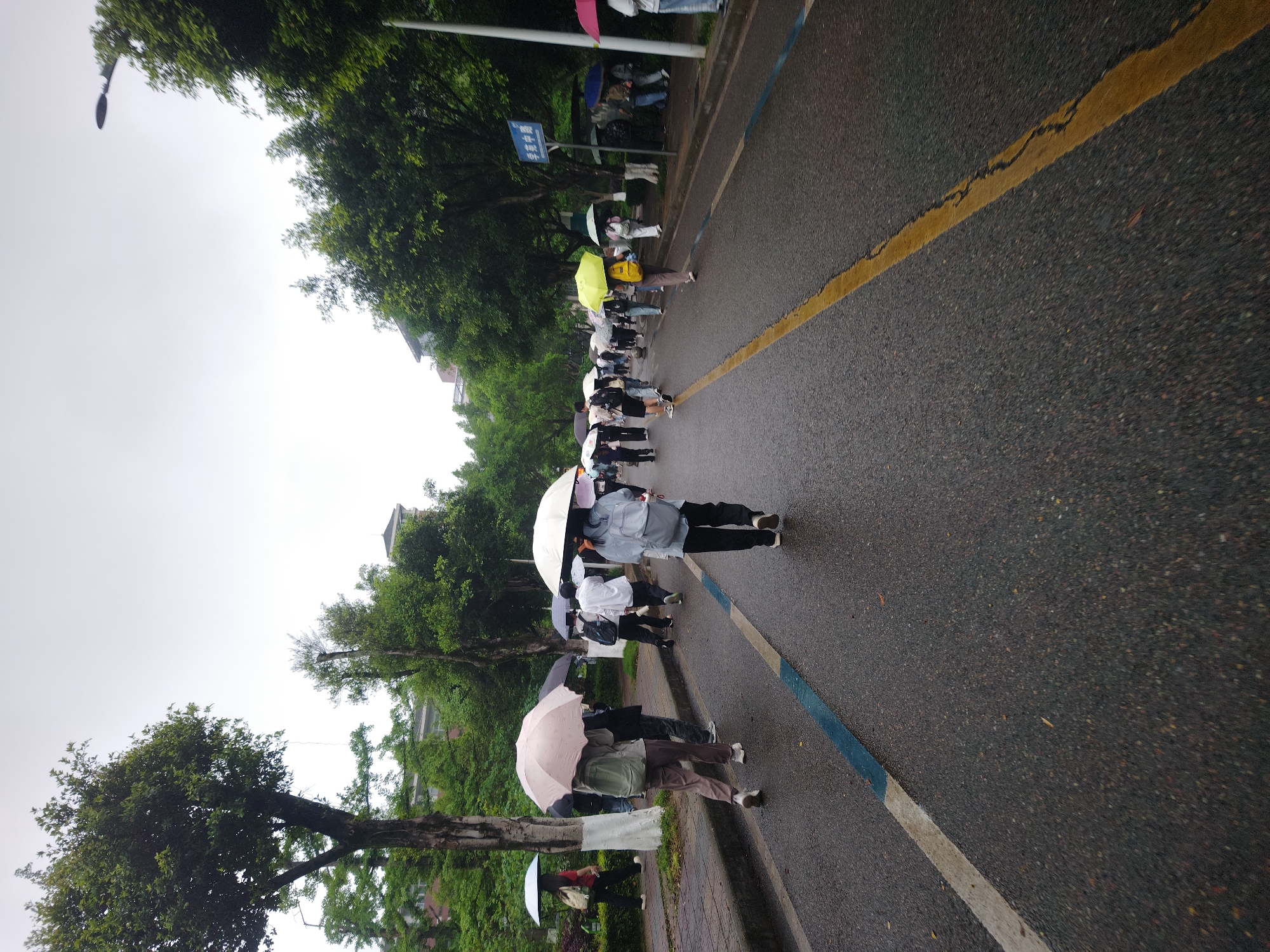 On a wet day in Chongqing High-tech Zone, China, a line of people holding umbrellas walk along the side of a road. A yellow stripe marks a lane separation on the dark grey asphalt of the road. The people are wearing casual clothing and some have backpacks. Trees with green leaves are on the side of the road, lining the pavement. A sign in Chinese characters is visible. The sky is overcast.