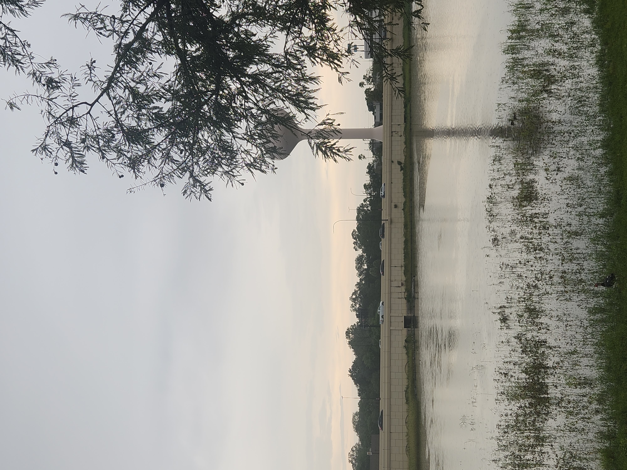 The image depicts a flooded landscape with a water tower in the background. The water tower, a tall white structure with a rounded top, is partially obscured by the branches of a tree in the foreground. The water covers a significant portion of the ground, with reflections of the sky and surrounding objects visible on its surface. There are some aquatic plants growing in the water. A highway with cars can be seen in the middle ground, separated from the water by a concrete barrier. Trees and buildings form the background. The sky is overcast, suggesting a cloudy or rainy day. The overall scene is one of natural elements interacting with urban infrastructure, possibly due to recent rainfall or a natural body of water.