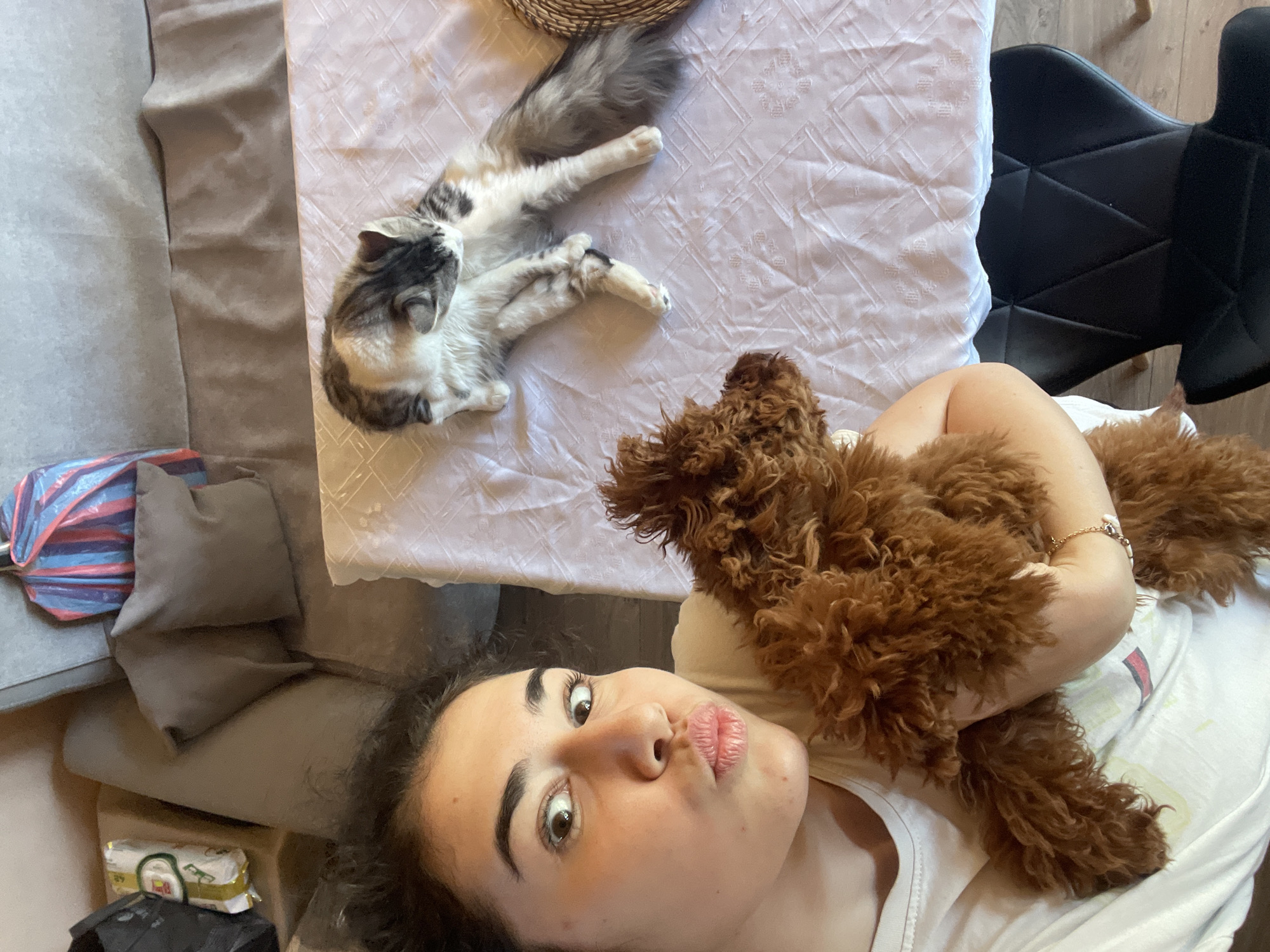 This high-angle, overhead shot captures an indoor scene in Sofia, Bulgaria, featuring a young woman interacting with her pets. A young woman with dark hair and expressive eyes is lying down, looking up at the camera with a playful pouting expression. She is wearing a white top and a delicate bracelet, and is holding a fluffy brown dog, possibly a poodle or poodle mix, which rests comfortably on her chest and arm.
Beside her, on a white tablecloth with a subtle geometric pattern, a domestic cat is stretched out and relaxed. The cat has a distinctive gray, white, and possibly light brown or ginger fur pattern and a long, fluffy tail.
The background shows elements of a home interior. To the left, a gray sofa with several cushions and a blue and red striped bag are visible. Below the sofa, there's a partially obscured package with what appears to be text and baby imagery, possibly indicating baby wipes or tissues. On the right, a black chair with a modern, patterned back is seen next to the table. A small woven basket is also partially visible on the table near the cat. The overall impression is one of a cozy, affectionate moment shared between the woman and her animal companions during the daytime.