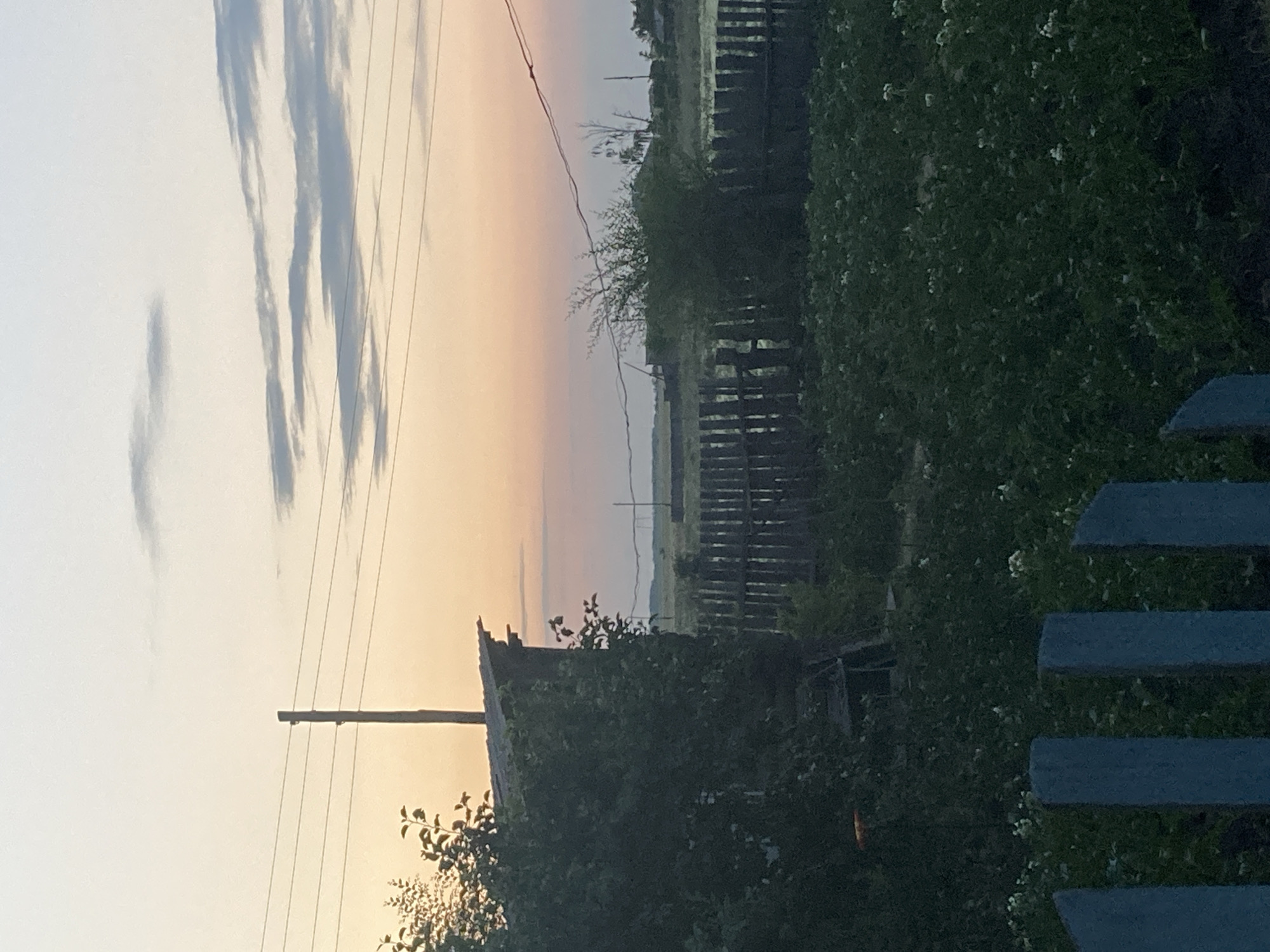 This is a vertical, wide-angle photograph of a rural scene at dusk. The sky transitions from a pale yellow-orange near the horizon to a soft lavender and then a pale blue at the top, with wispy, grey clouds streaking across. In the foreground, on the right side of the image, is a section of a blue, slatted fence. To the left of the fence, dense green foliage fills the middle and lower sections of the image.
Visible within the foliage and slightly behind it are the remnants of a weathered, wooden structure, possibly an old shed or house, with a dilapidated roof. A wooden utility pole with several wires stretches diagonally across the left side of the frame. Beyond the foliage and structure, a dark, wooden plank fence runs horizontally across the middle ground, with an open field or sparsely vegetated area visible behind it. In the distance, faint outlines of trees and utility poles can be seen against the hazy horizon.
The lighting suggests it is either sunrise or sunset, with the warm tones in the sky indicating the former. The overall mood is serene and somewhat melancholic, reflecting the quietude of a rural evening. There is no visible text in the image. The scene is consistent with a location in rural Russia, such as Rakity.
